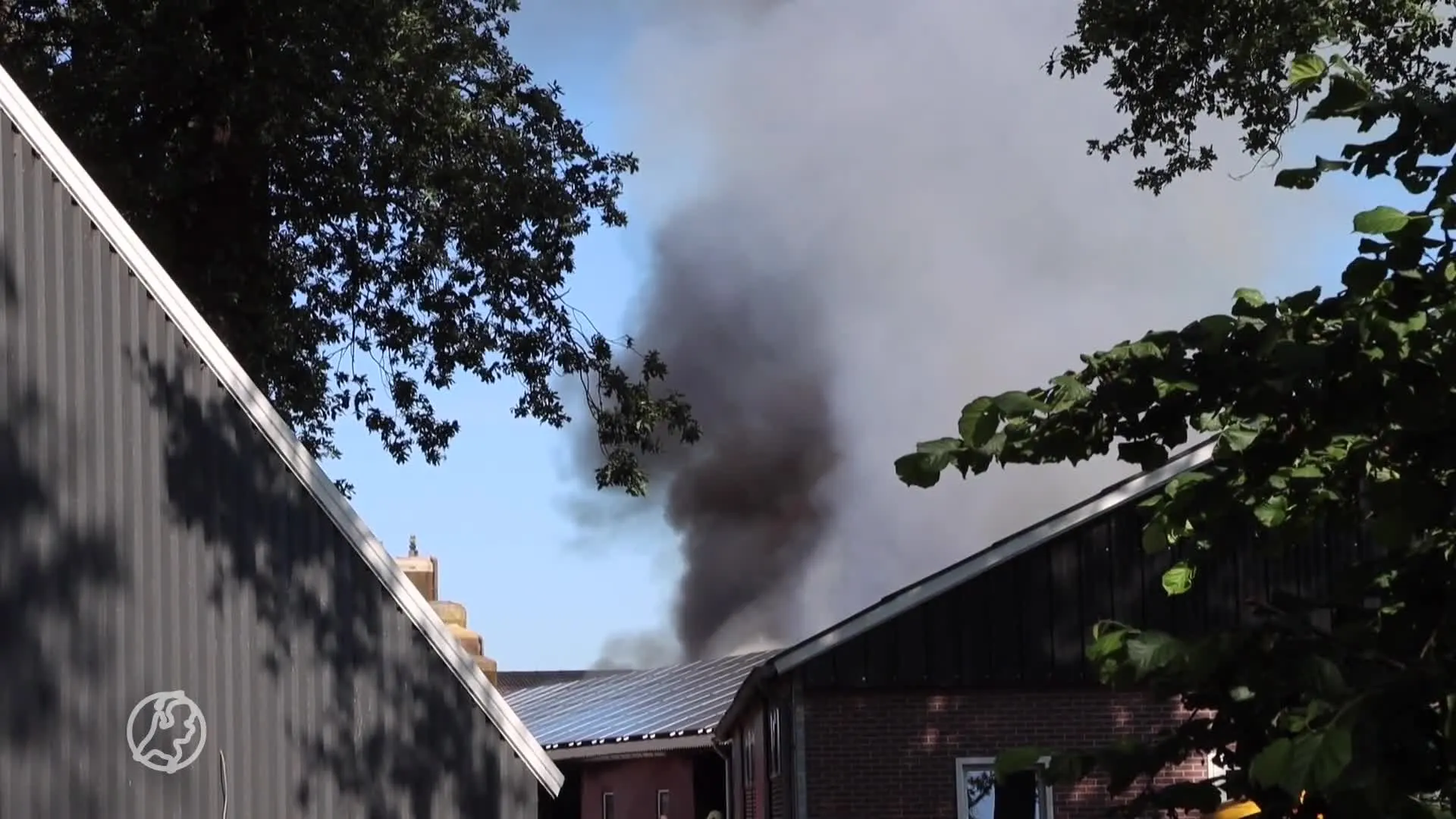 Tientallen koeien dood bij stalbrand in Rossum