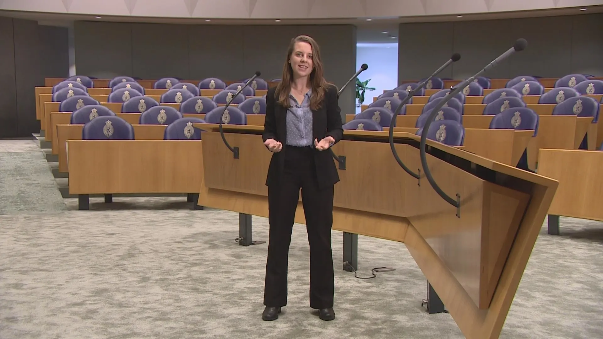 Formeren kun je leren: zo komt een nieuw kabinet tot stand