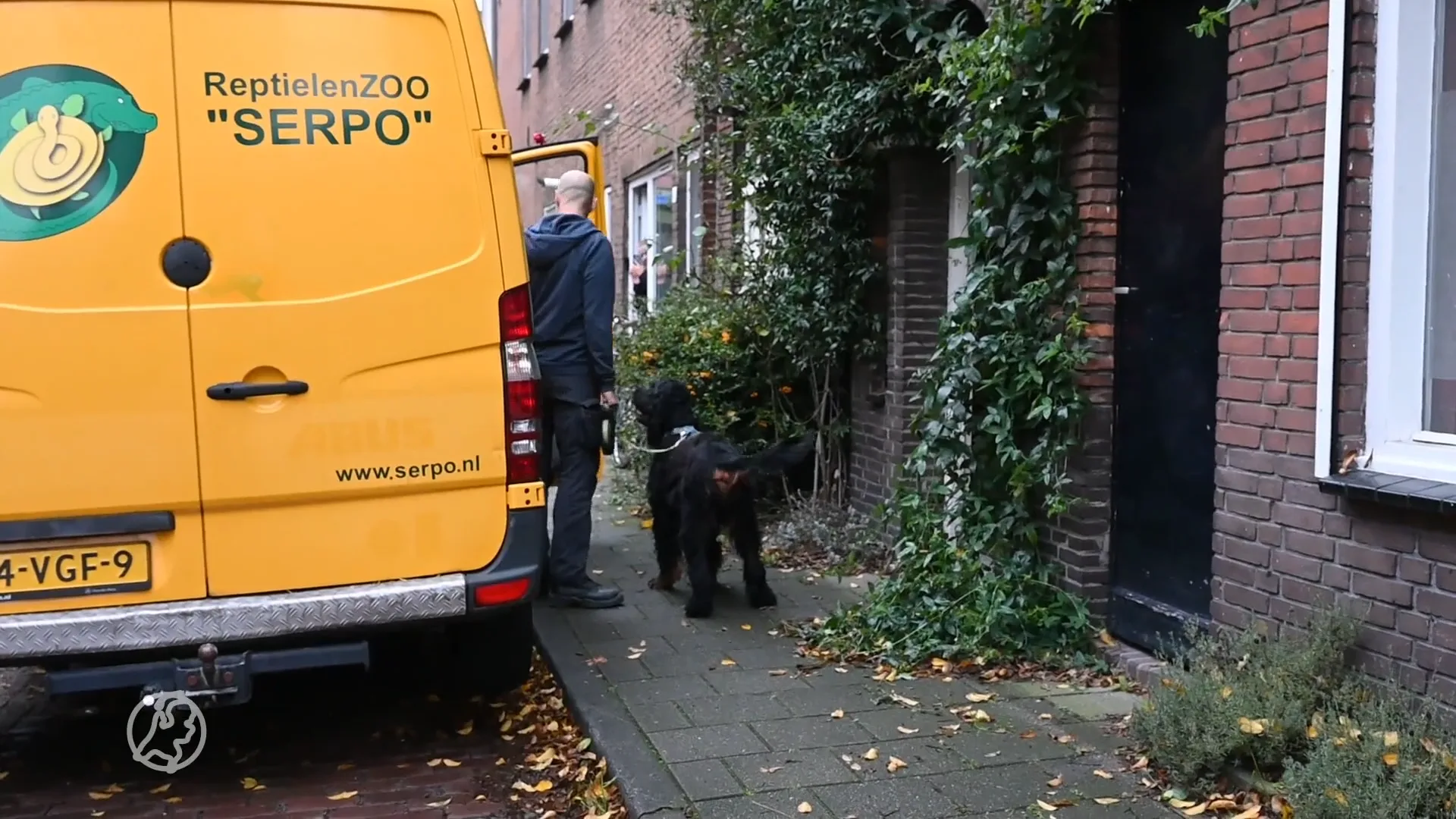 Zeer giftige slang ontsnapt in Tilburg: 'Bel 112 als je het dier ziet'