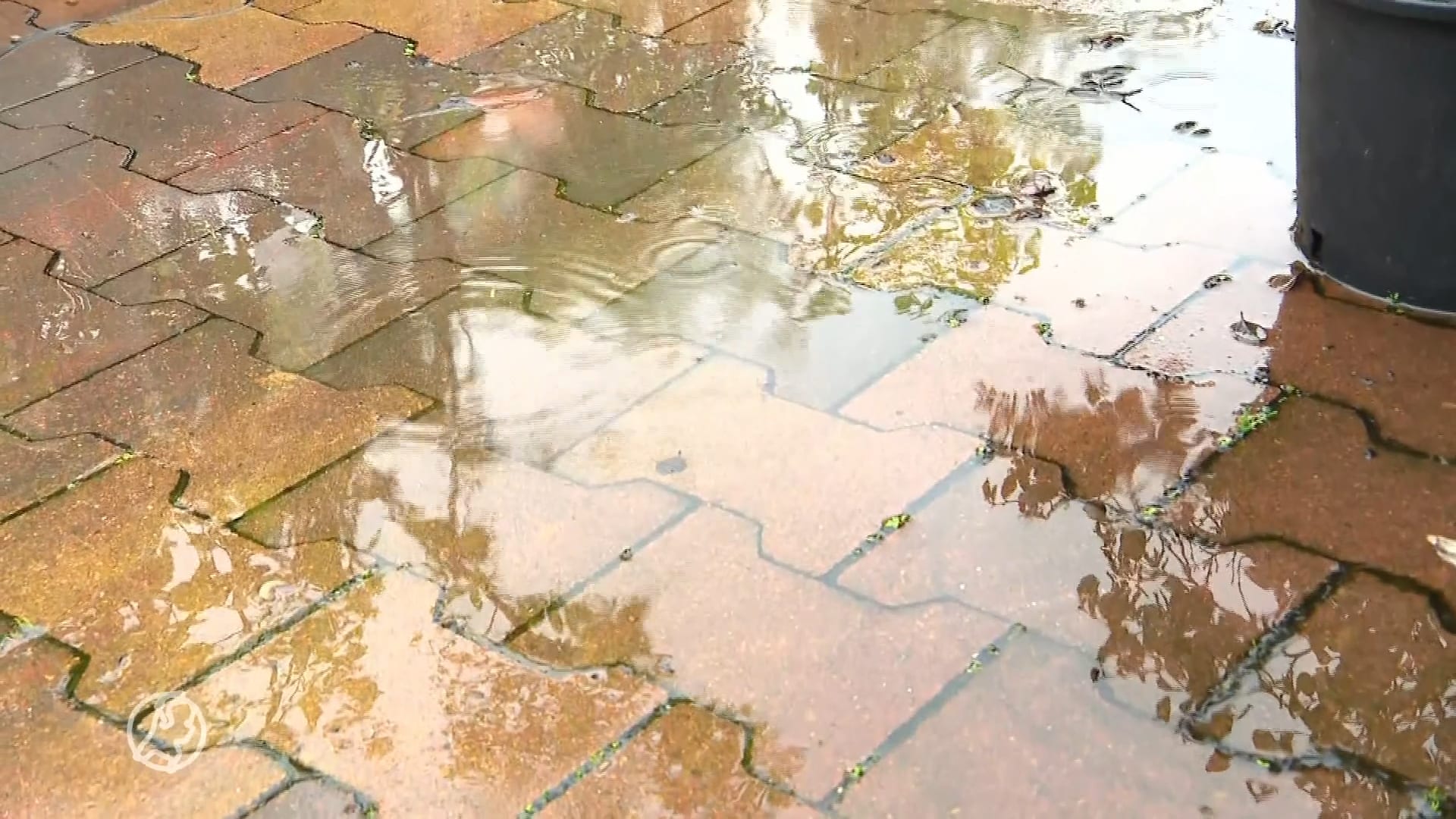 Natste voorjaar ooit