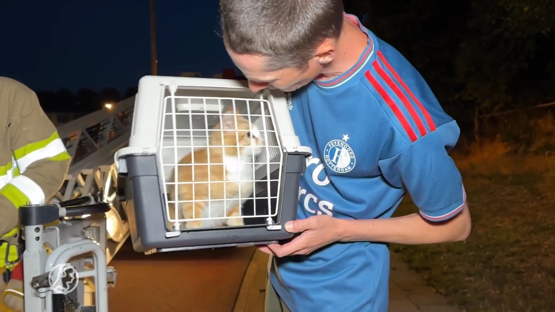 Kat met hartproblemen en trombose gered uit boom