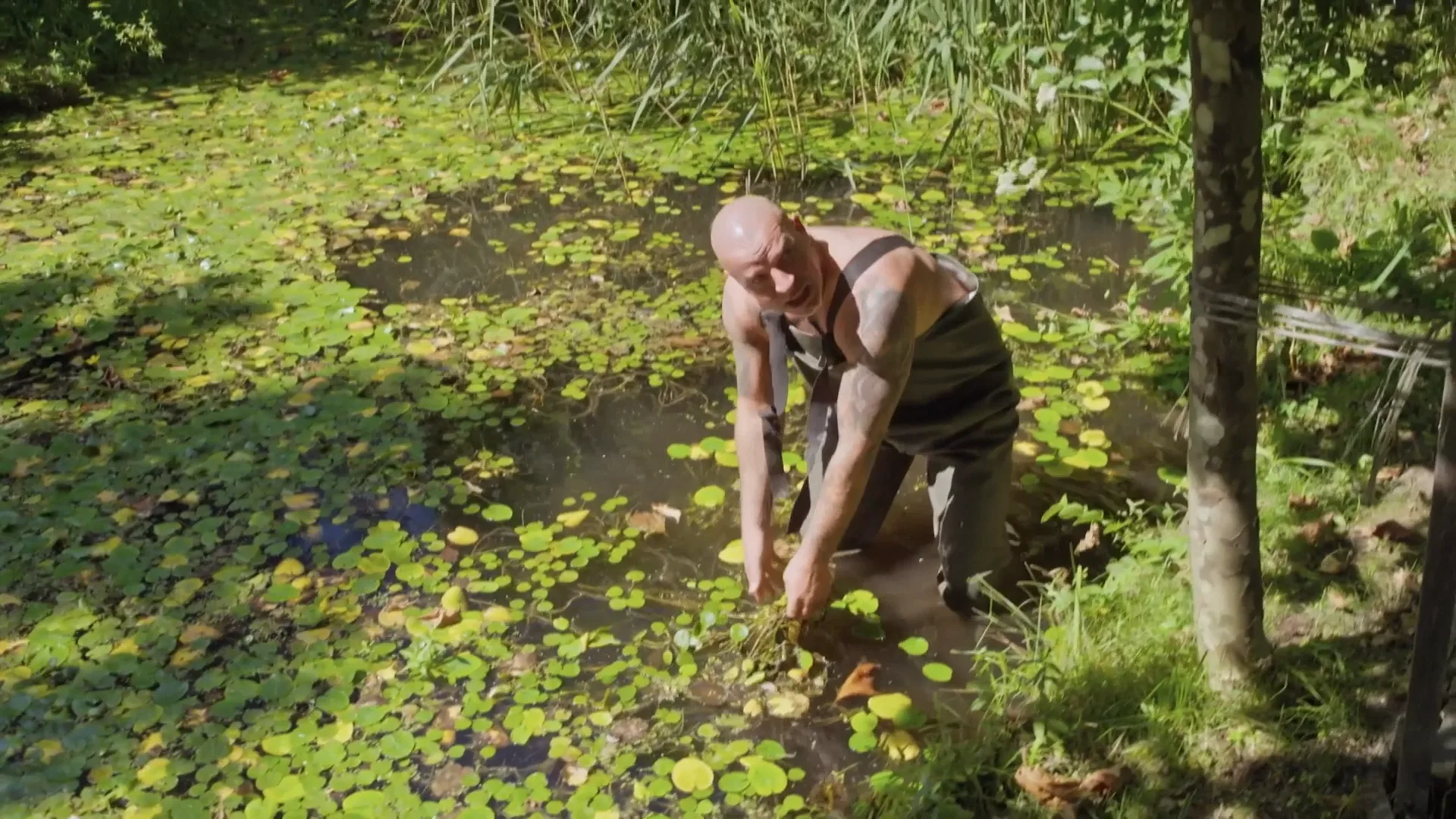 Andy en Melisa zijn aan de klus in de tuin en staan DOODSANGSTEN uit door SPINNEN