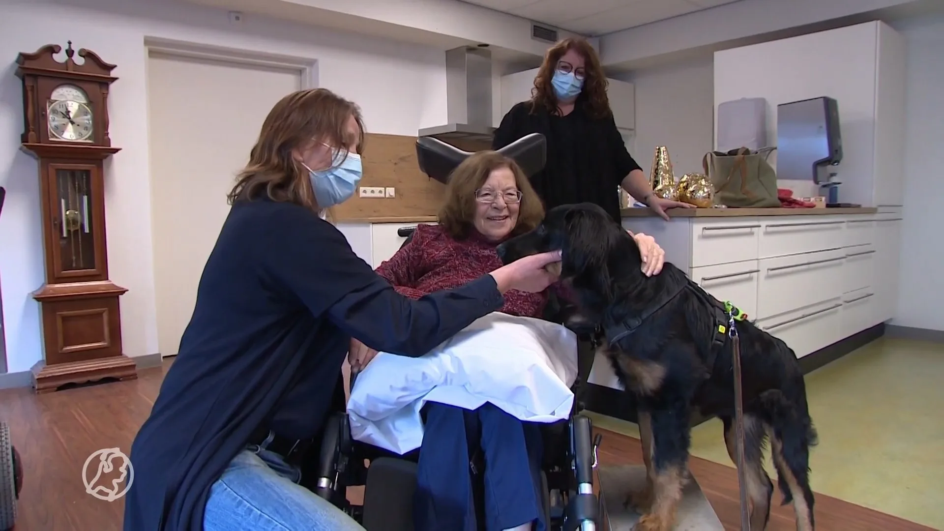 Angelika lijkt te moeten stoppen met haar hondentherapie: 'We waren geschokt'