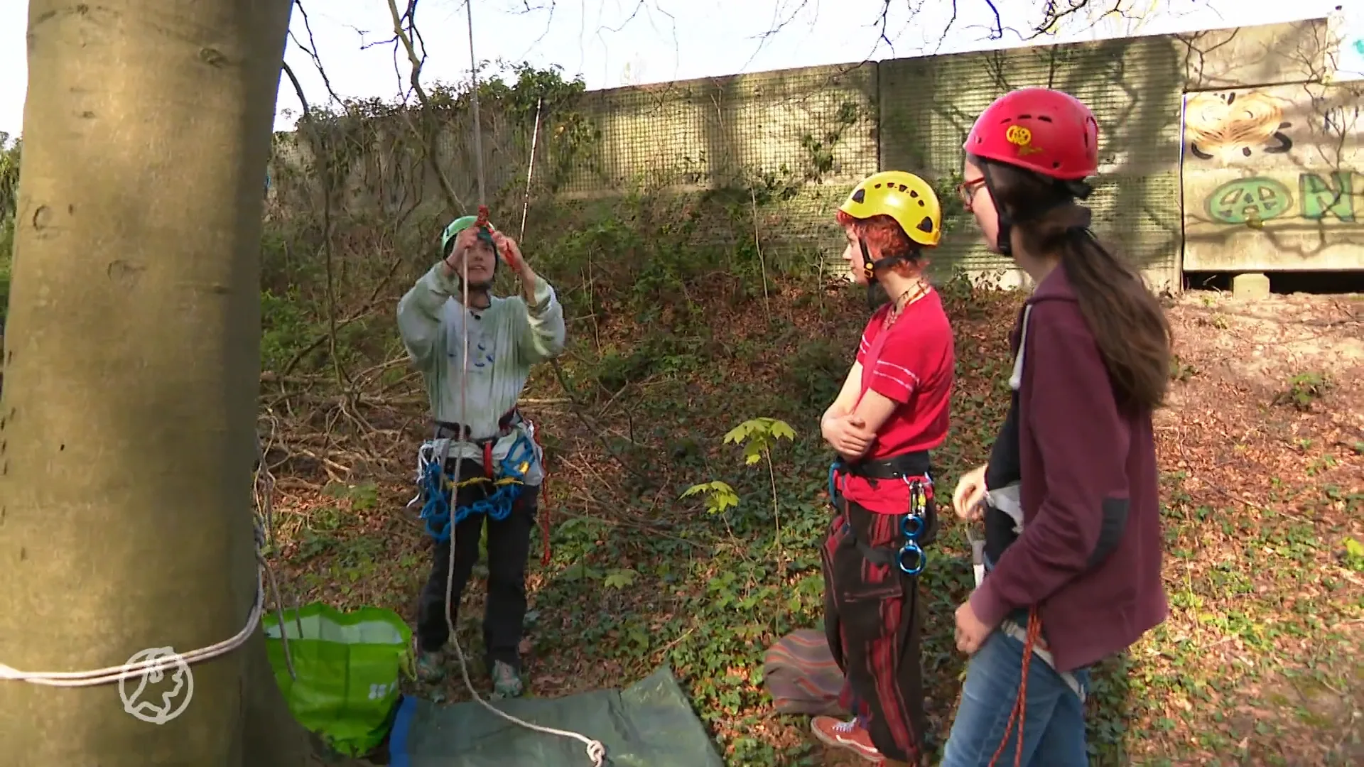 Actiegroep geeft cursus boomklimmen voor protest tegen A27-verbreding