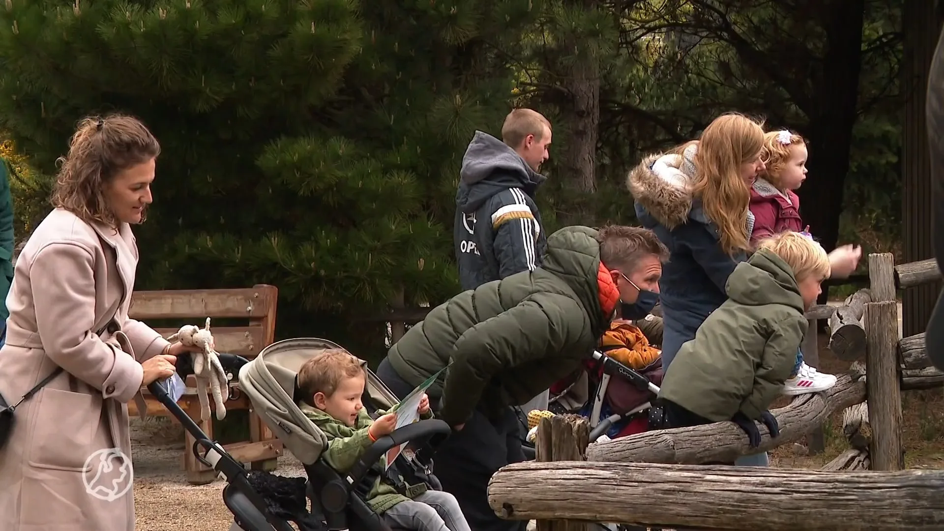 Diergaarde Blijdorp weer open voor 4000 bezoekers