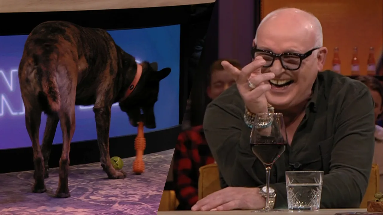René ziet studiohond met speeltje lopen: ‘Die heeft hij uit die EasyToys-tas gehaald!’