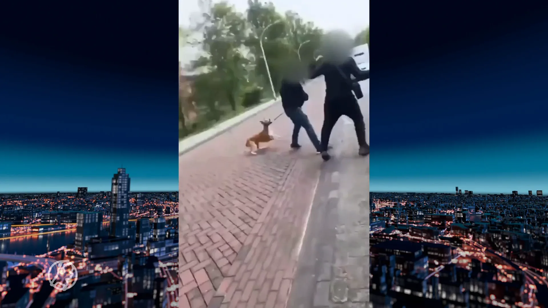 Jongens aangehouden die oudere man mishandelden: 'U lijkt op een varken'