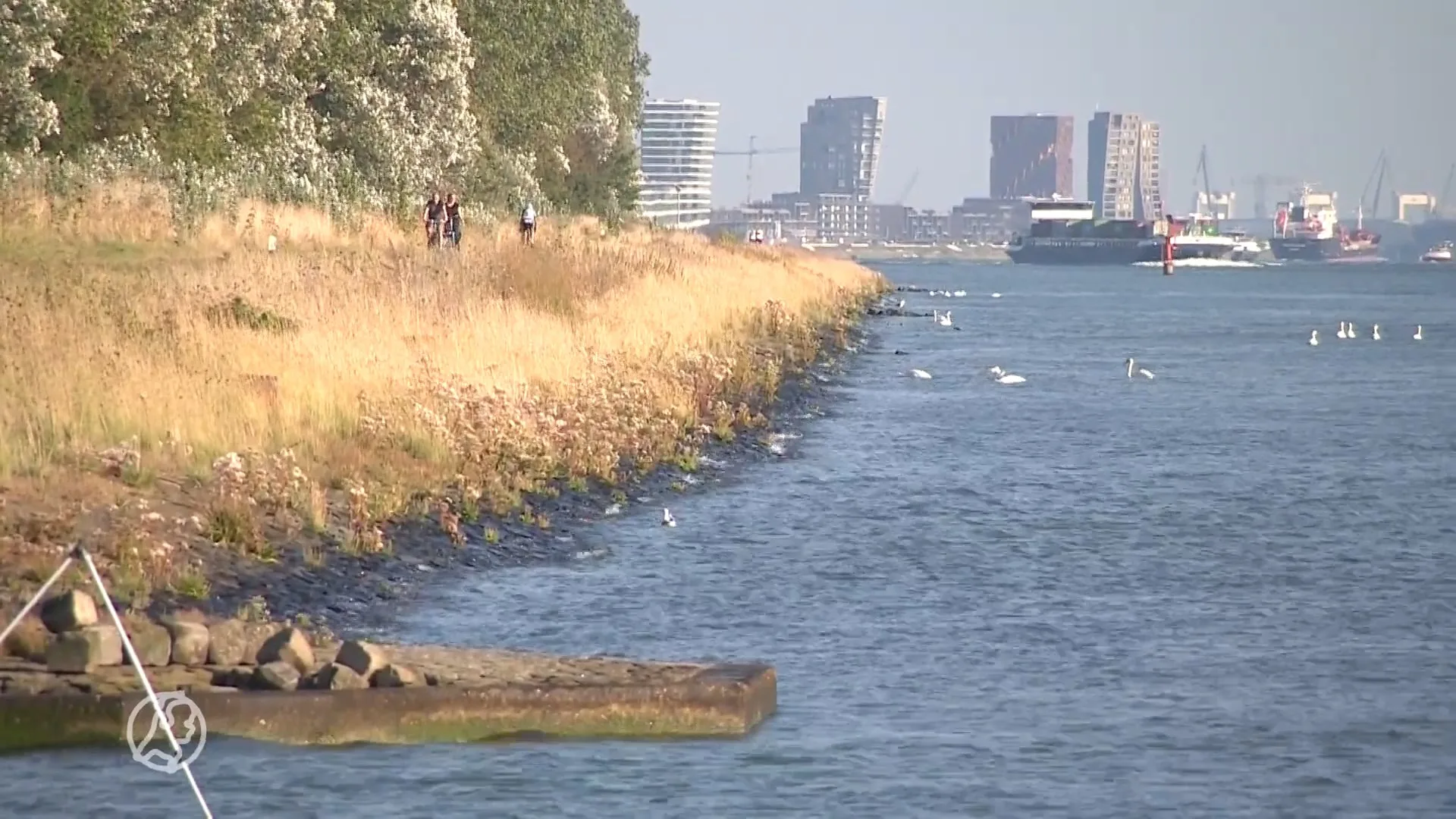 Bredase jongen (16) ontvoerd in auto, gewond teruggevonden in water