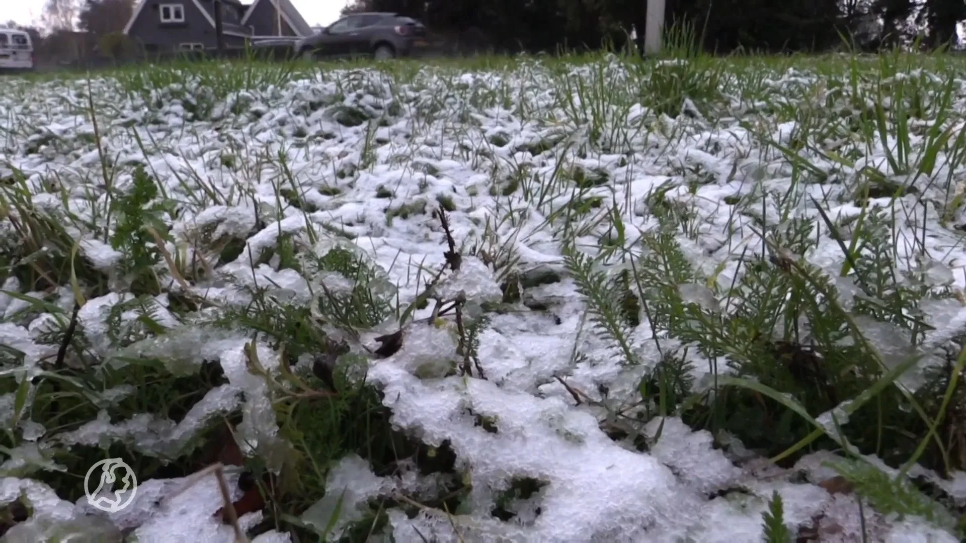 Eerste sneeuw van het najaar valt in Nederland