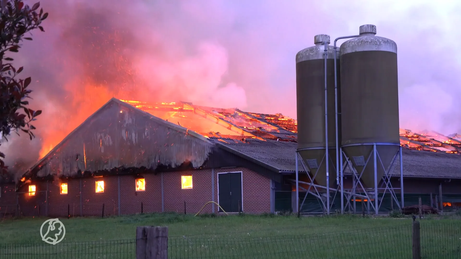 Verwoestende stalbrand in Varsen: tienduizenden kippen dood