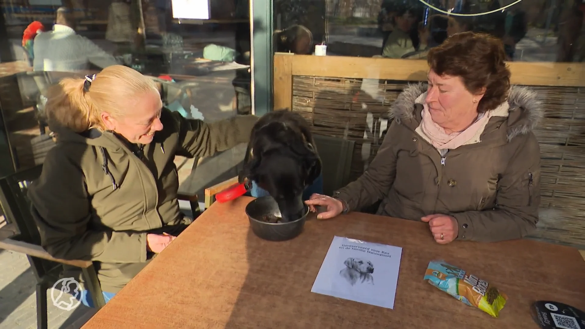 Steeds meer over voor huisdier: hondenbaasje organiseert 'afscheidsdiner' voor bejaarde hond Rex