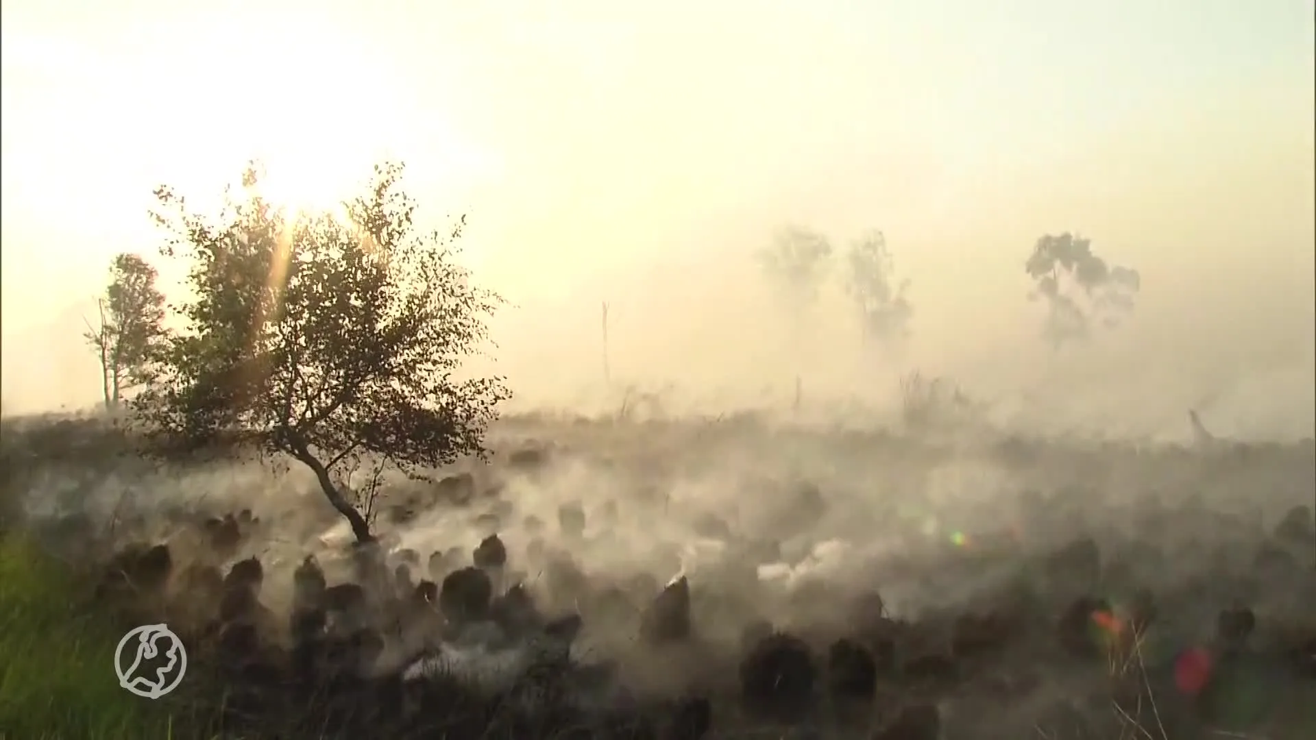 Grote natuurbrand in De Peel, mensen wordt gevraagd gebied te verlaten