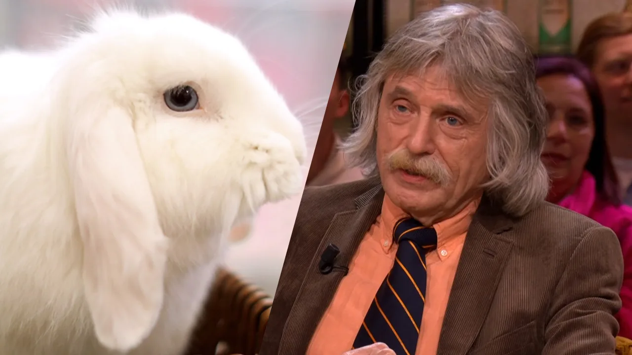 Johan stopte abrupt met management cursus: 'We moesten konijnen gaan verkopen...'