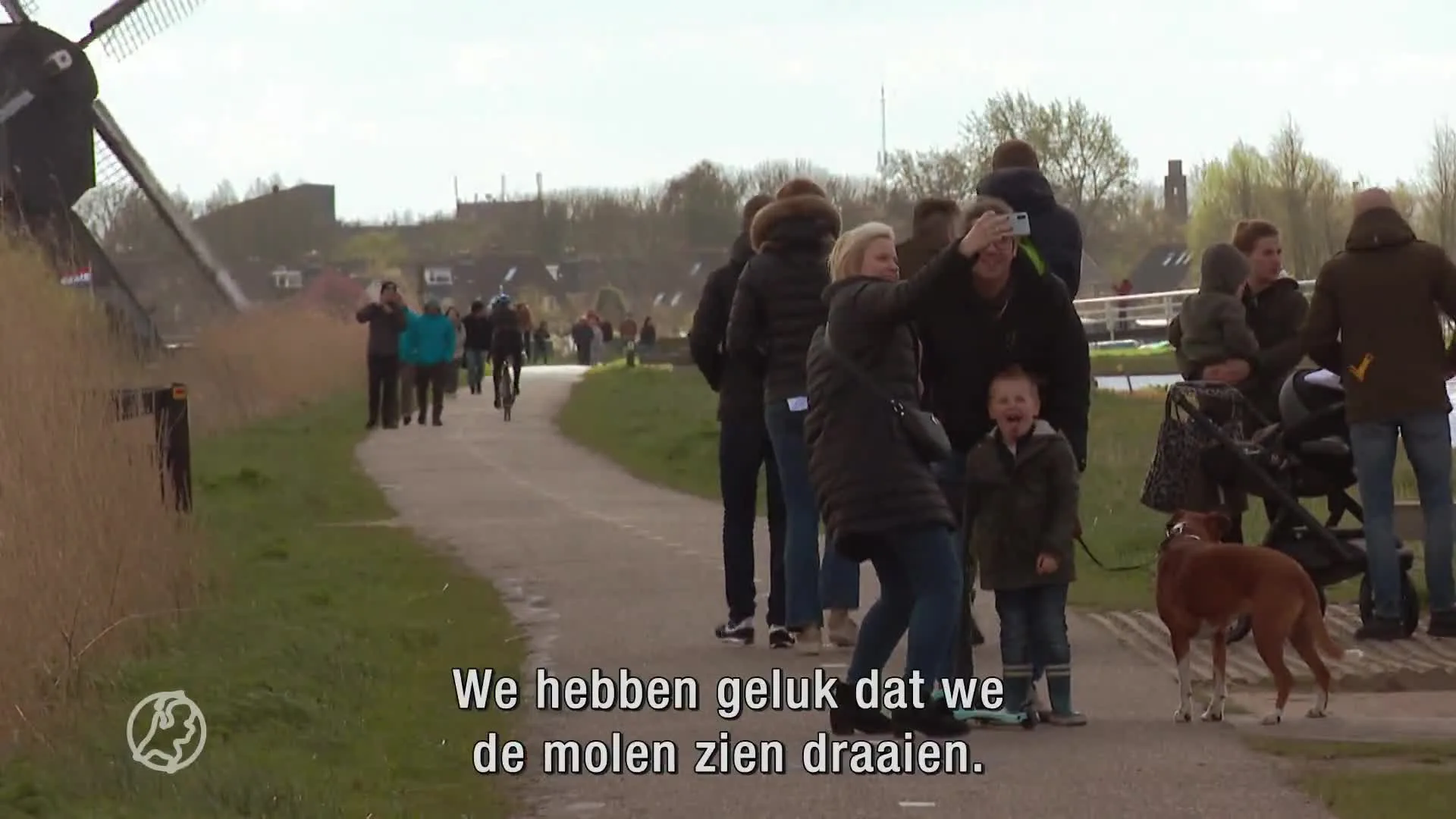 Buitenlandse molens draaien mee met 'jarige' molens in Nederland