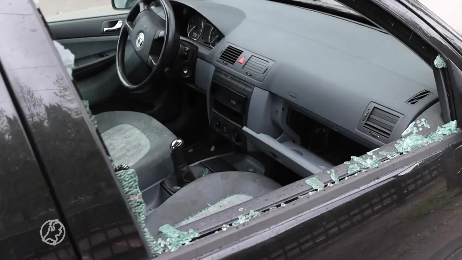 Vandalen breken zeker vijftien auto's open in straat in Den H...