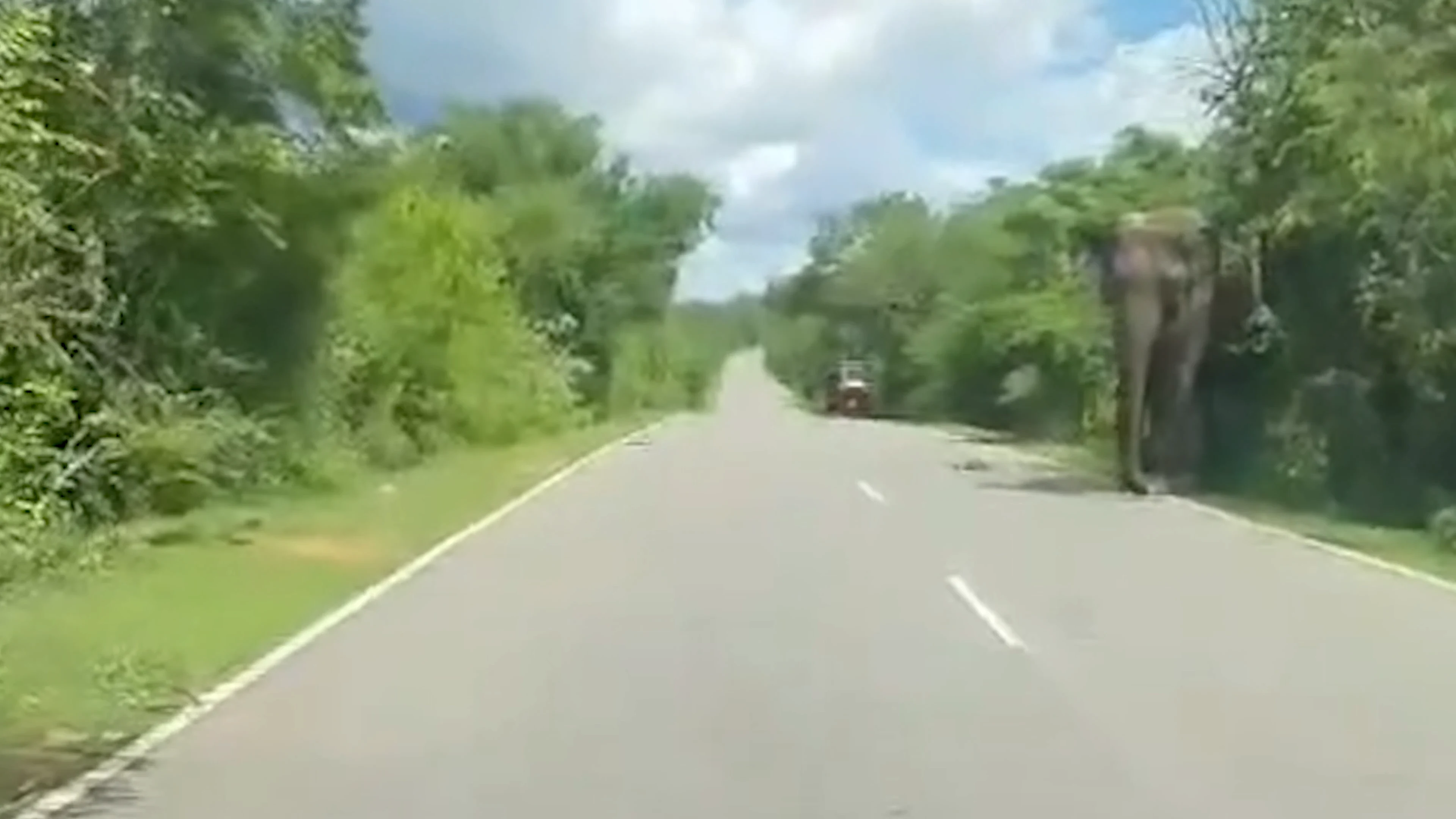 Nederlanders krijgen in Sri Lanka bezoek van olifant in tuk tuk