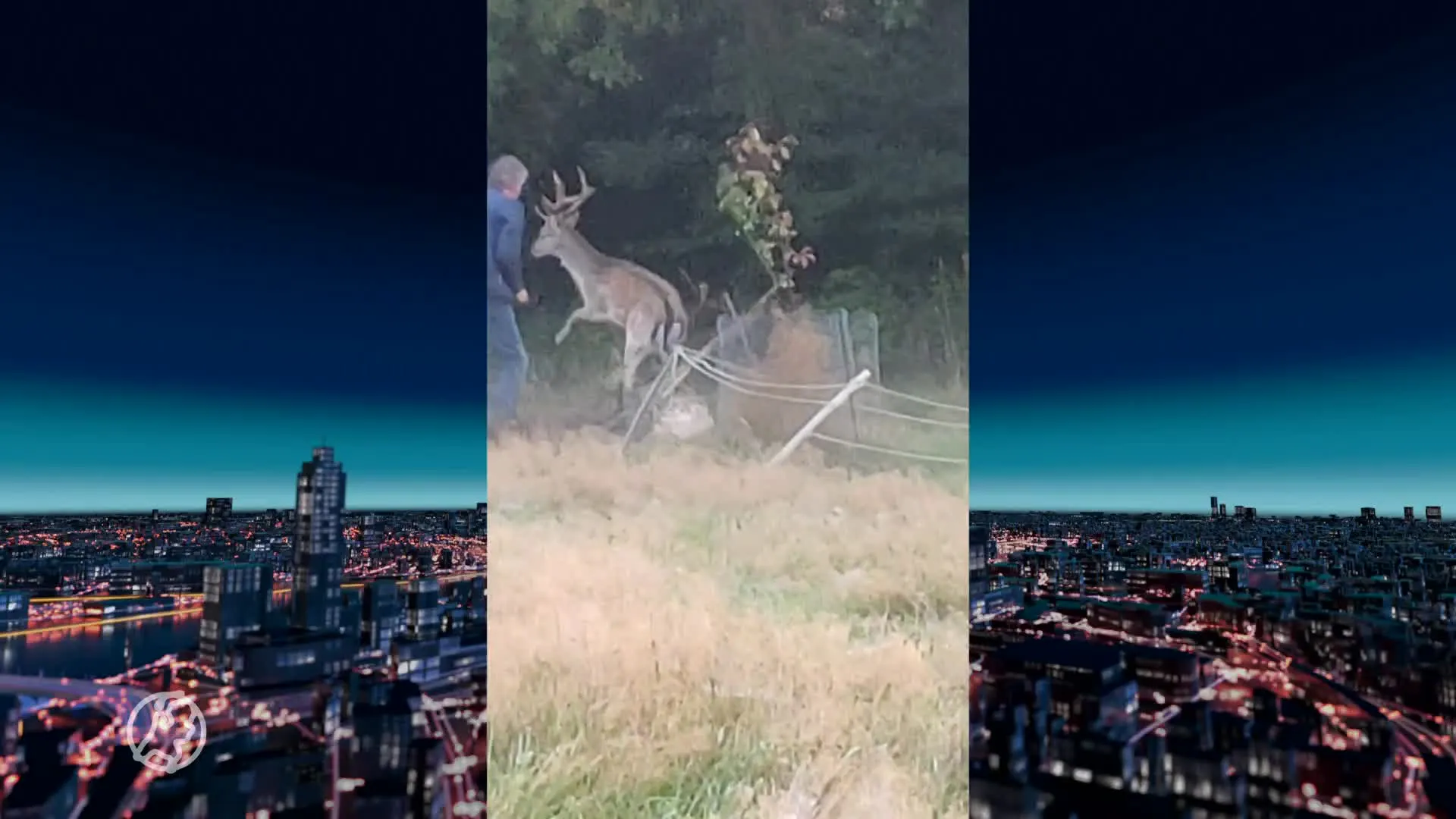 Held Gerard snijdt met groot mes twee herten uit een hek