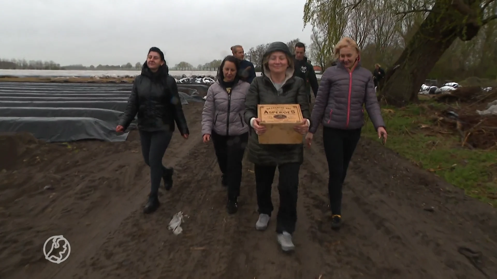 Oekraïense vluchtelingen steken eerste asperges van het seizoen