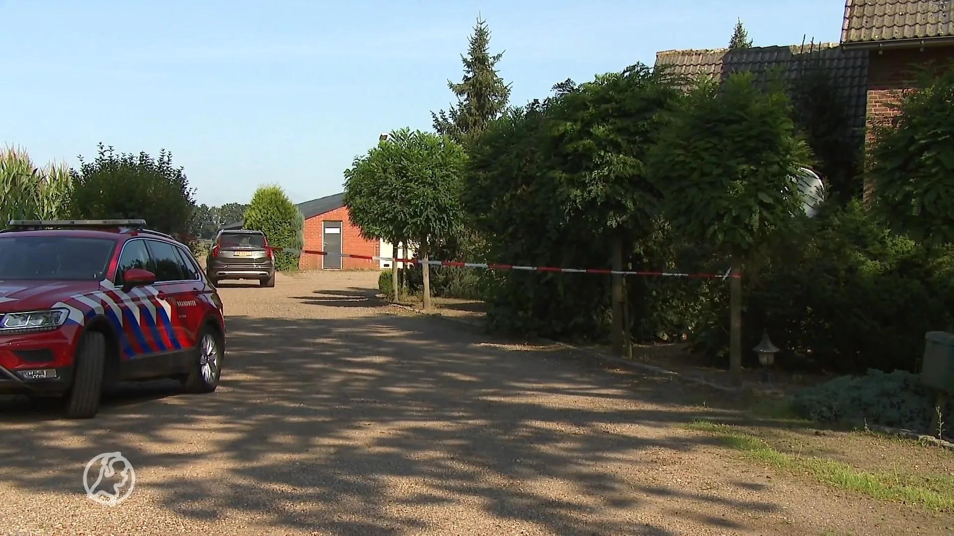 Honderden varkens gestikt in stal Melderslo