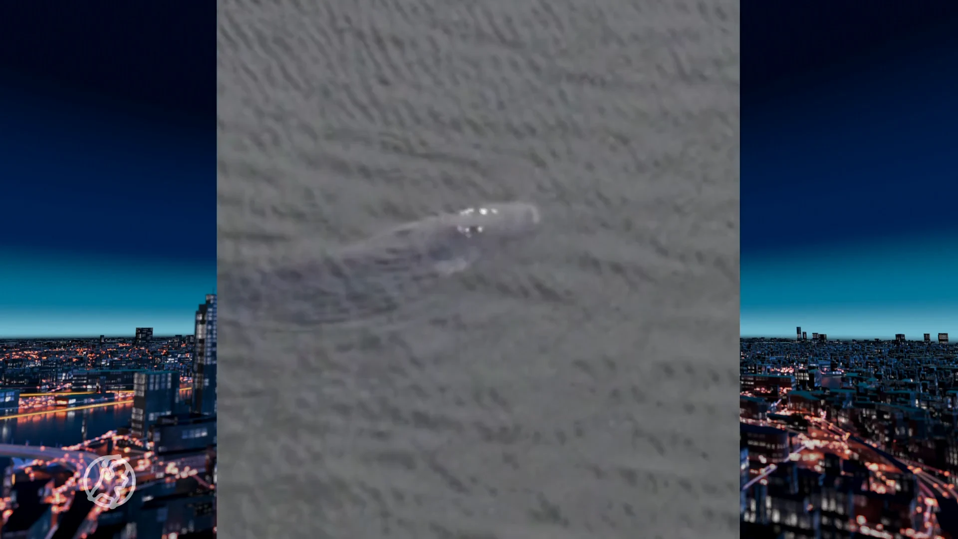 Reusachtige vis zwemt rond in jachthaven Zutphen