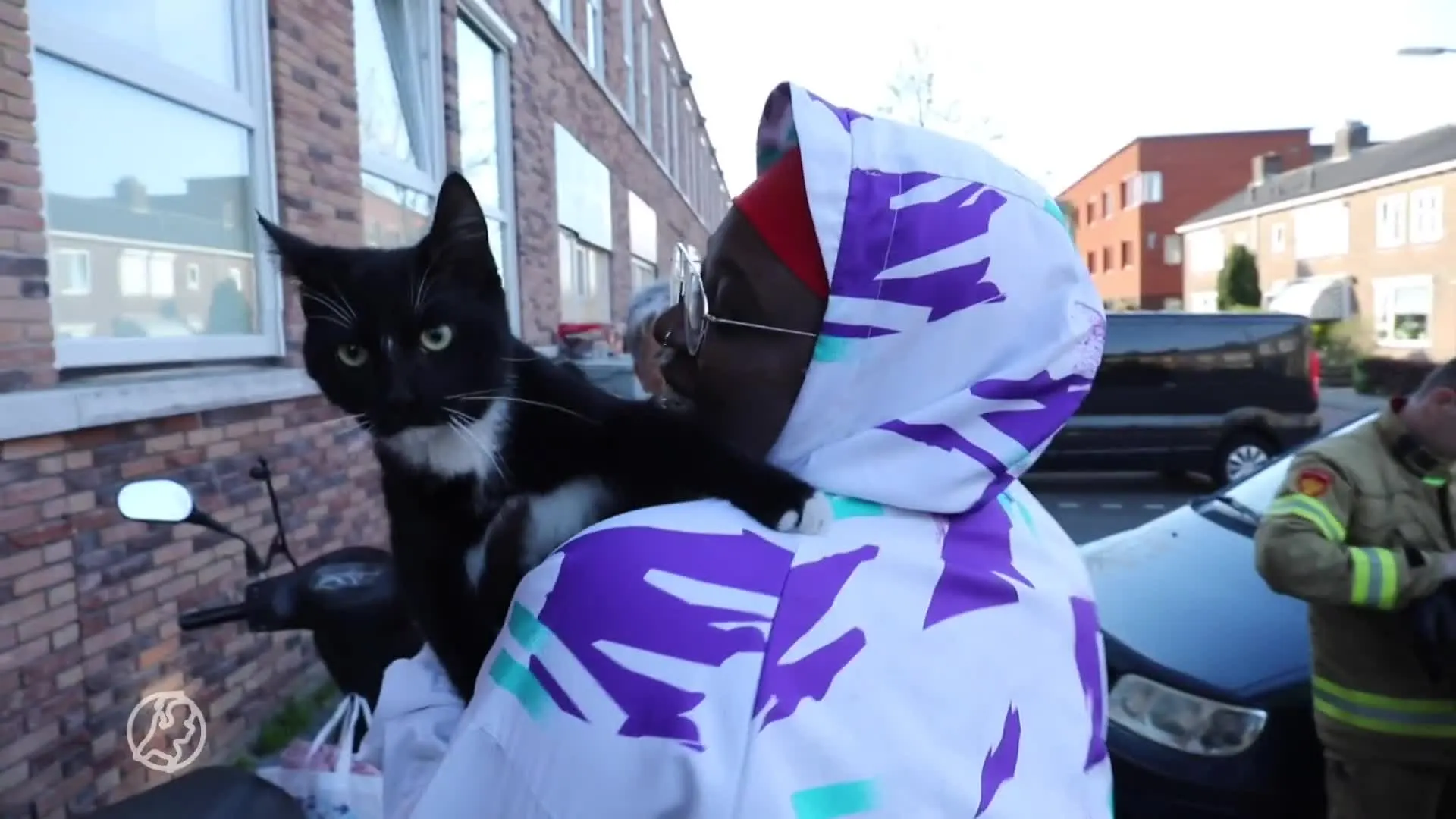 Kitten Mowgli onder motorkap houdt zes brandweerlieden bezig ...