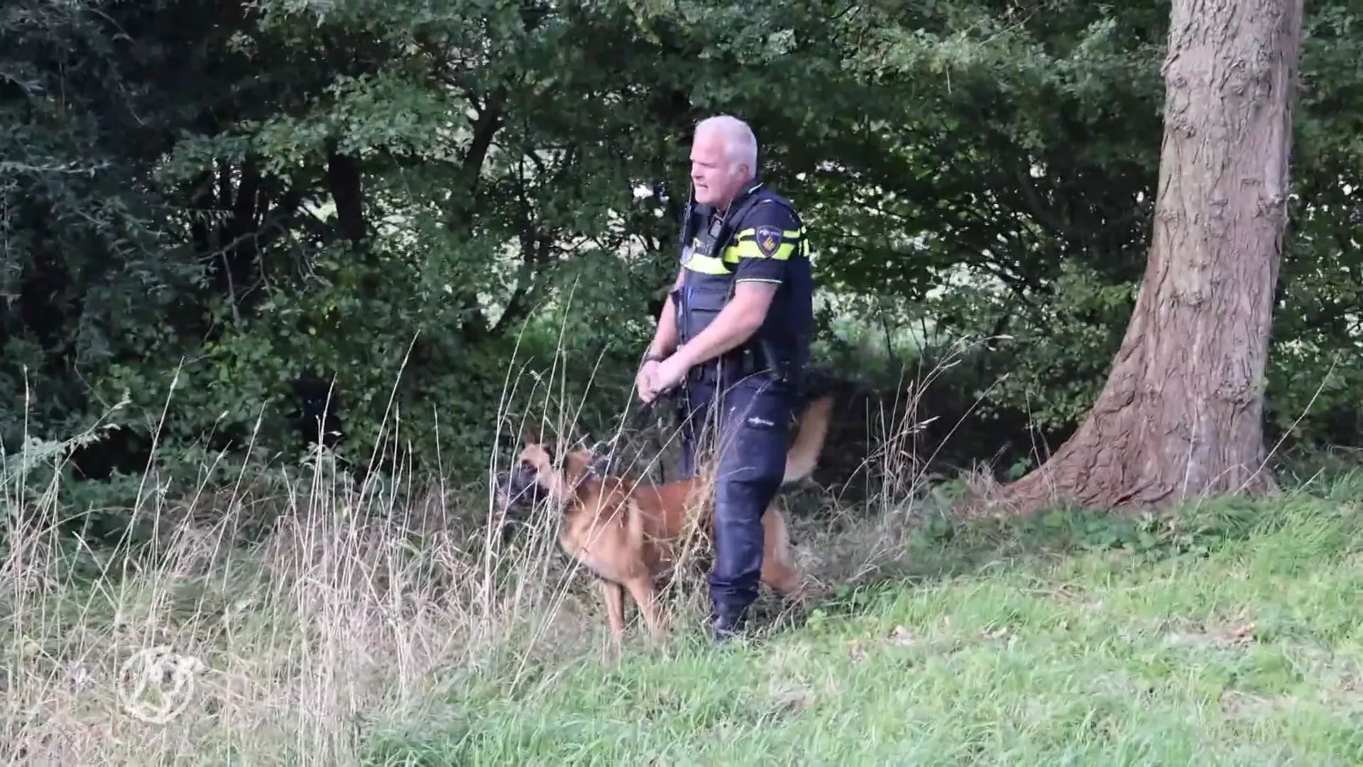 Politiehond speurt in bosjes verstopte fietsendief op in Haarlem