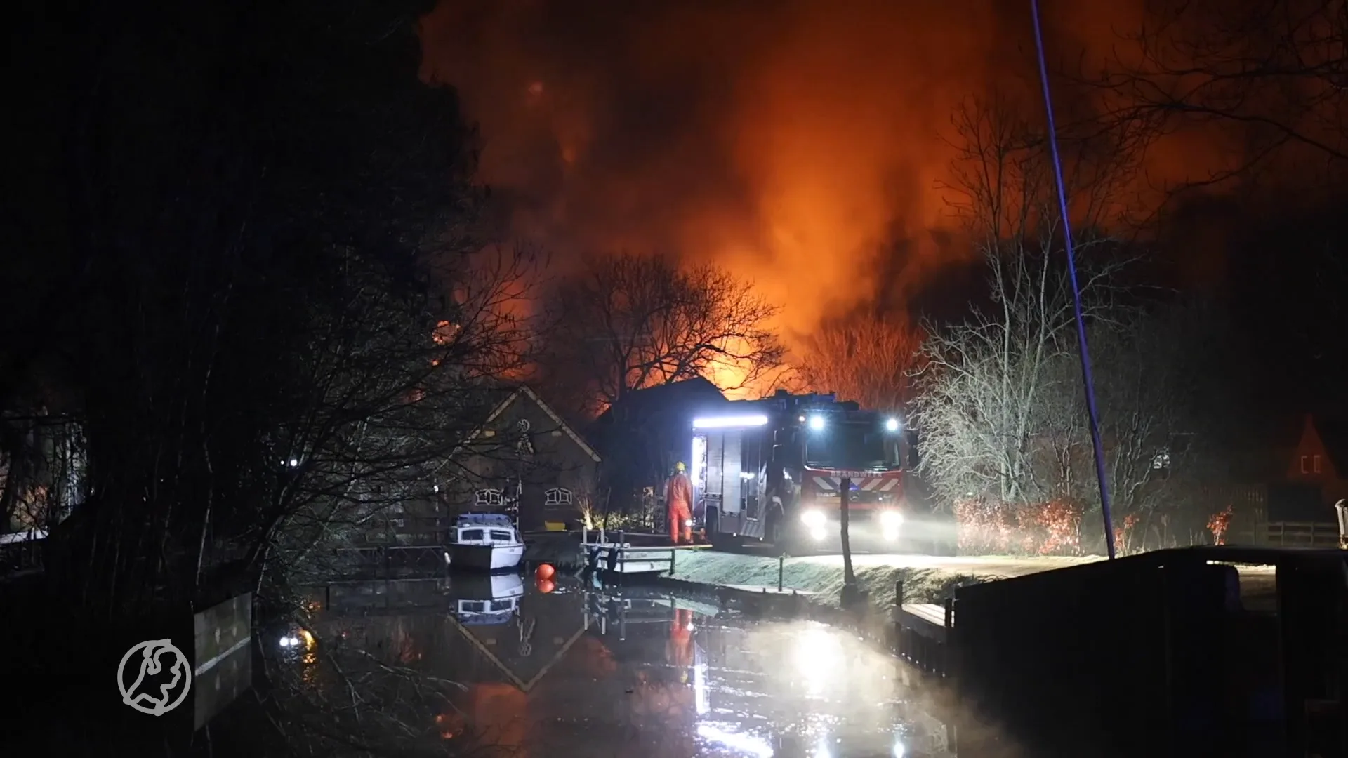 Tientallen schapen en lammetjes dood door brand in Maassluis