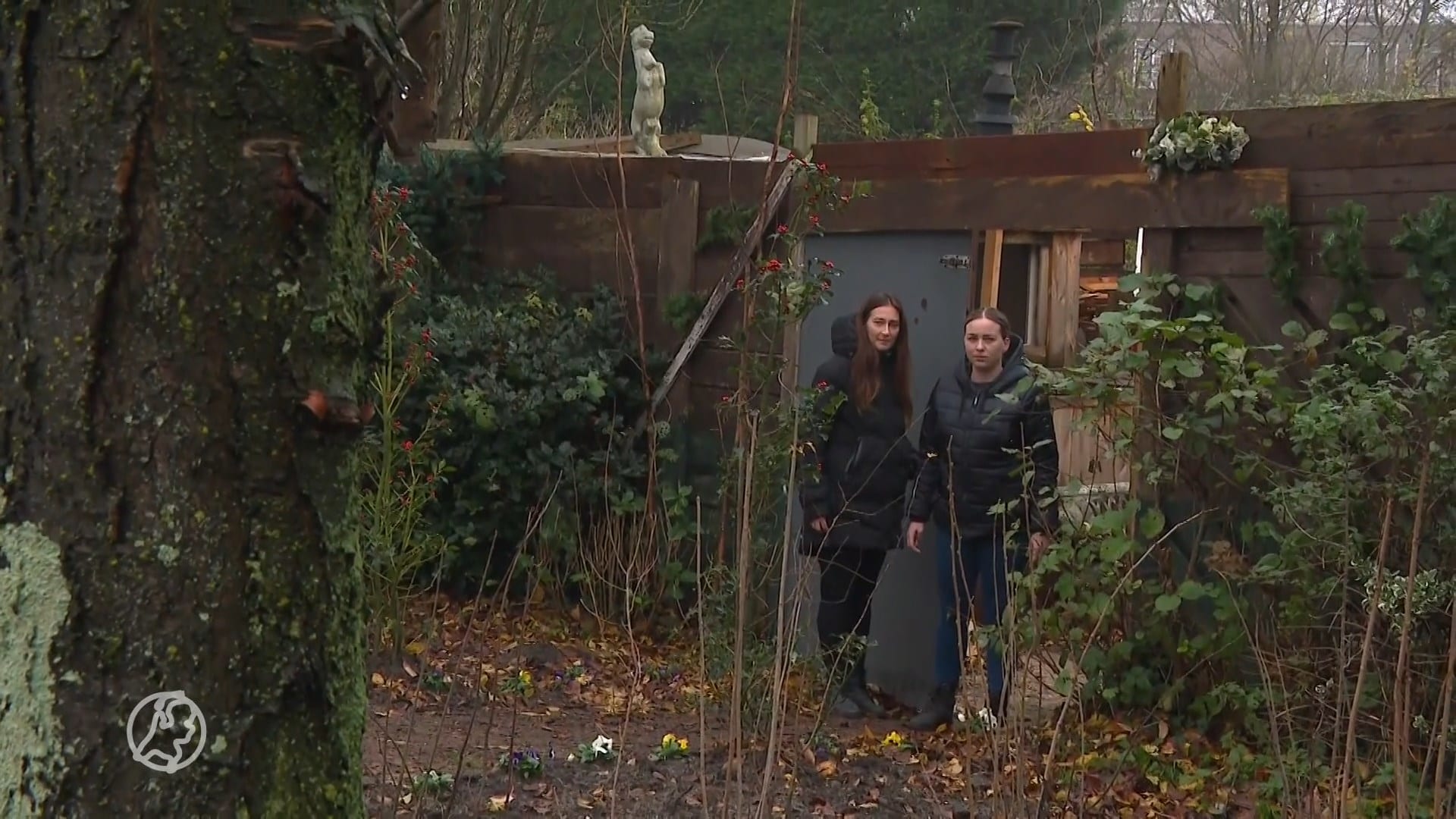 Volkstuintjes langs het spoor bij Velsen-Noord moeten weg