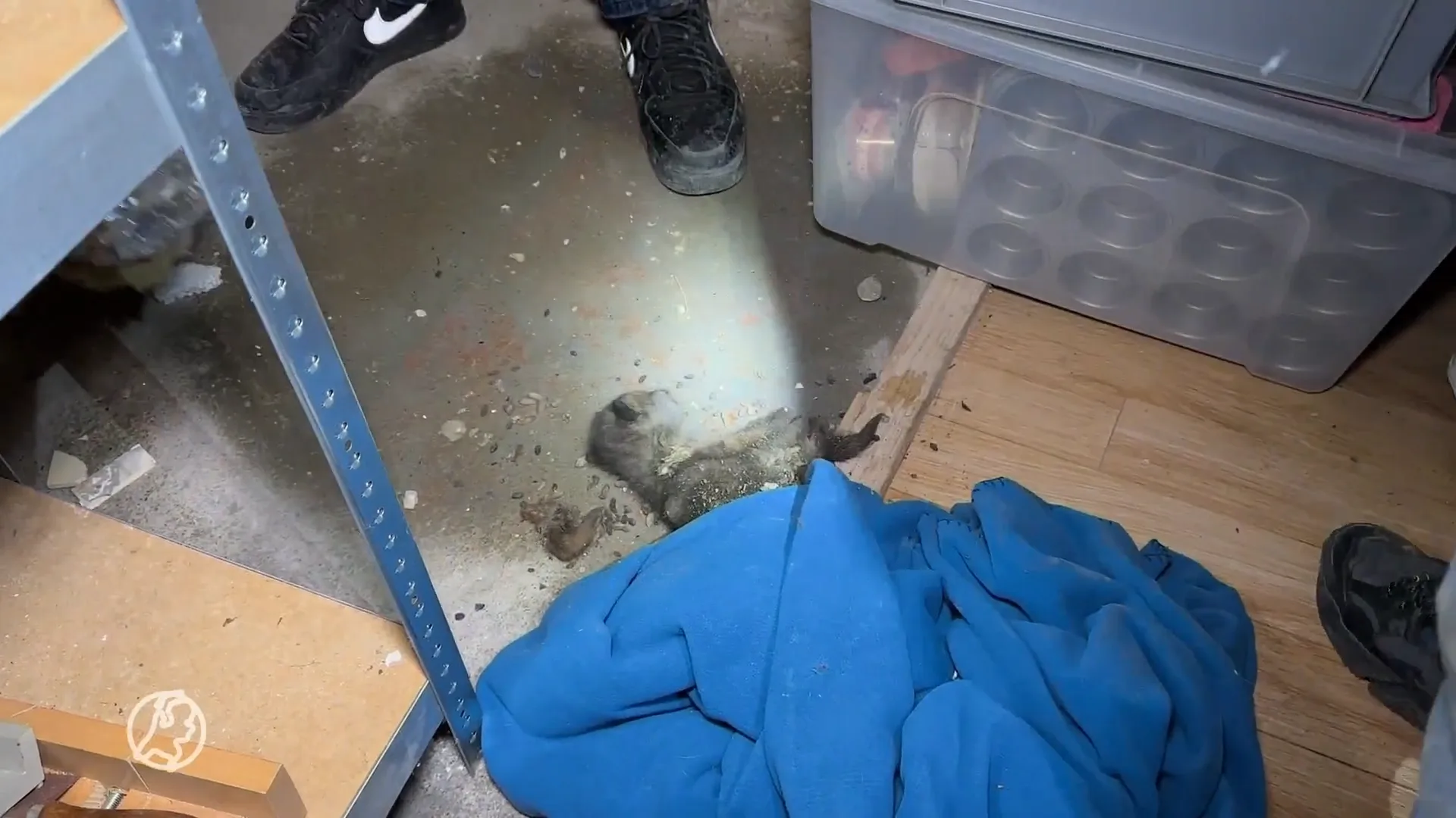 Dood babyvosje ontdekt in kruipruimte van Maastrichtse woning