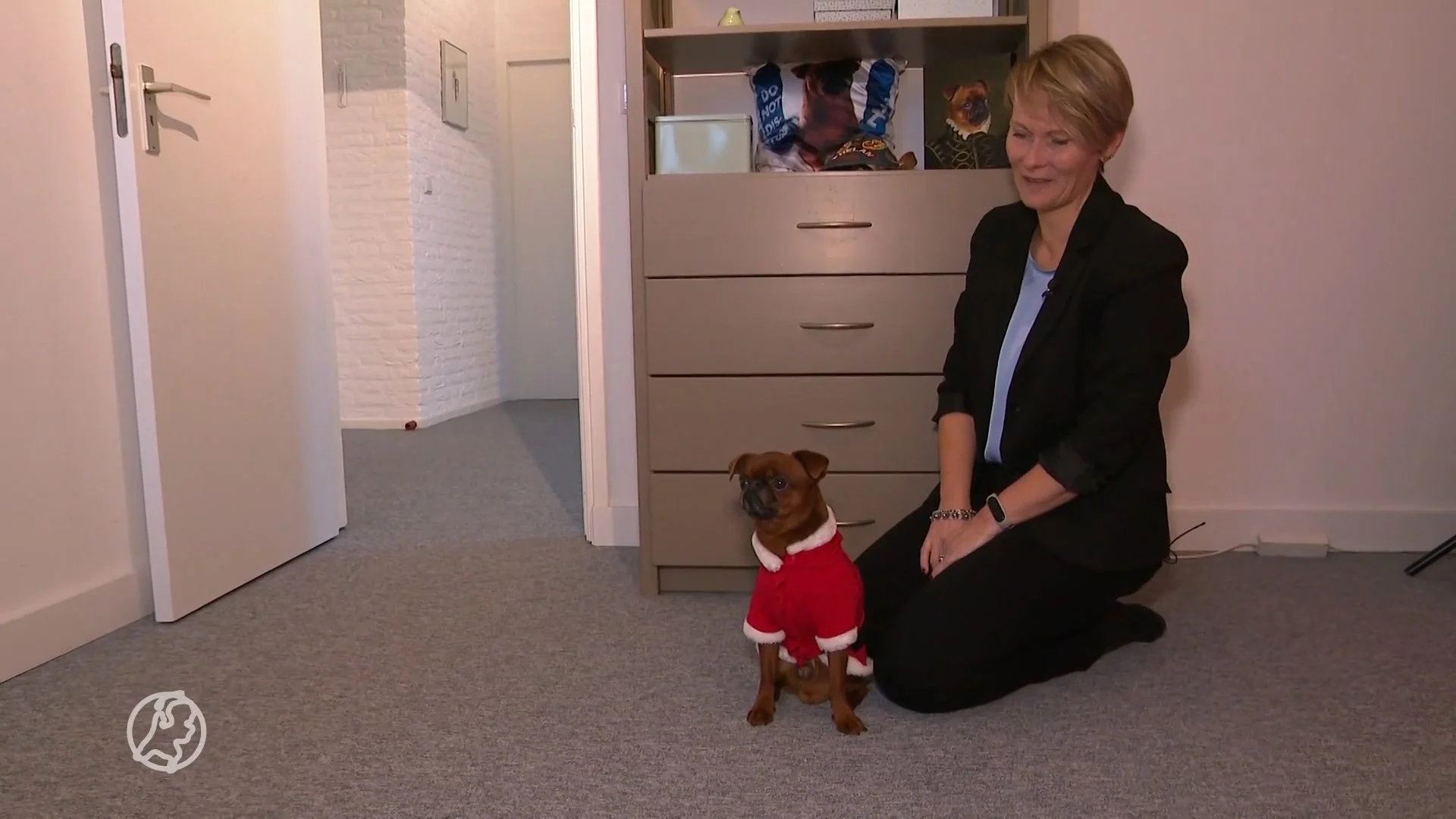 Kerstoutfits voor honden en katten populairder dan ooit