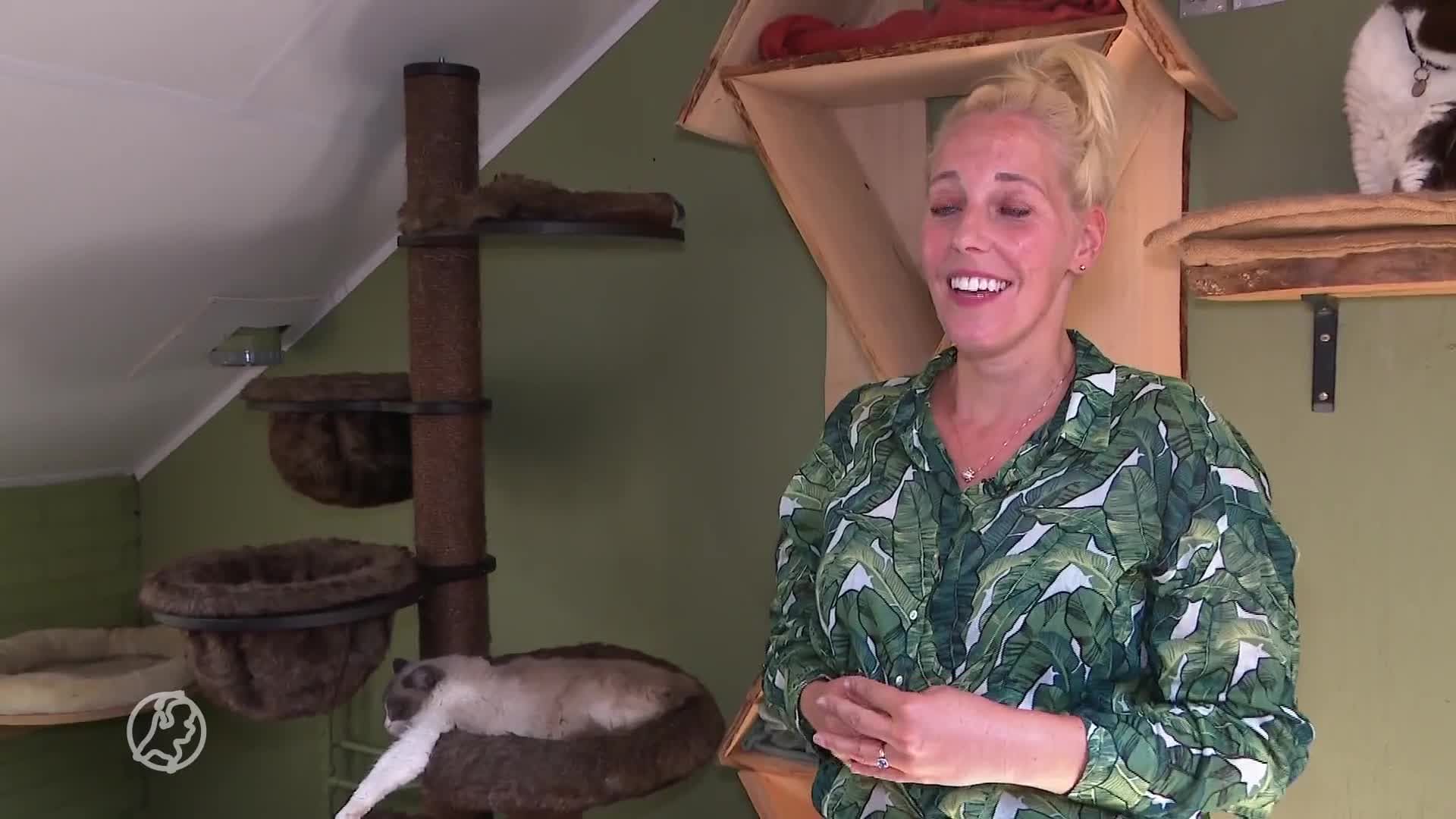 Kattenhotel Tompoes verwoest door storm Poly