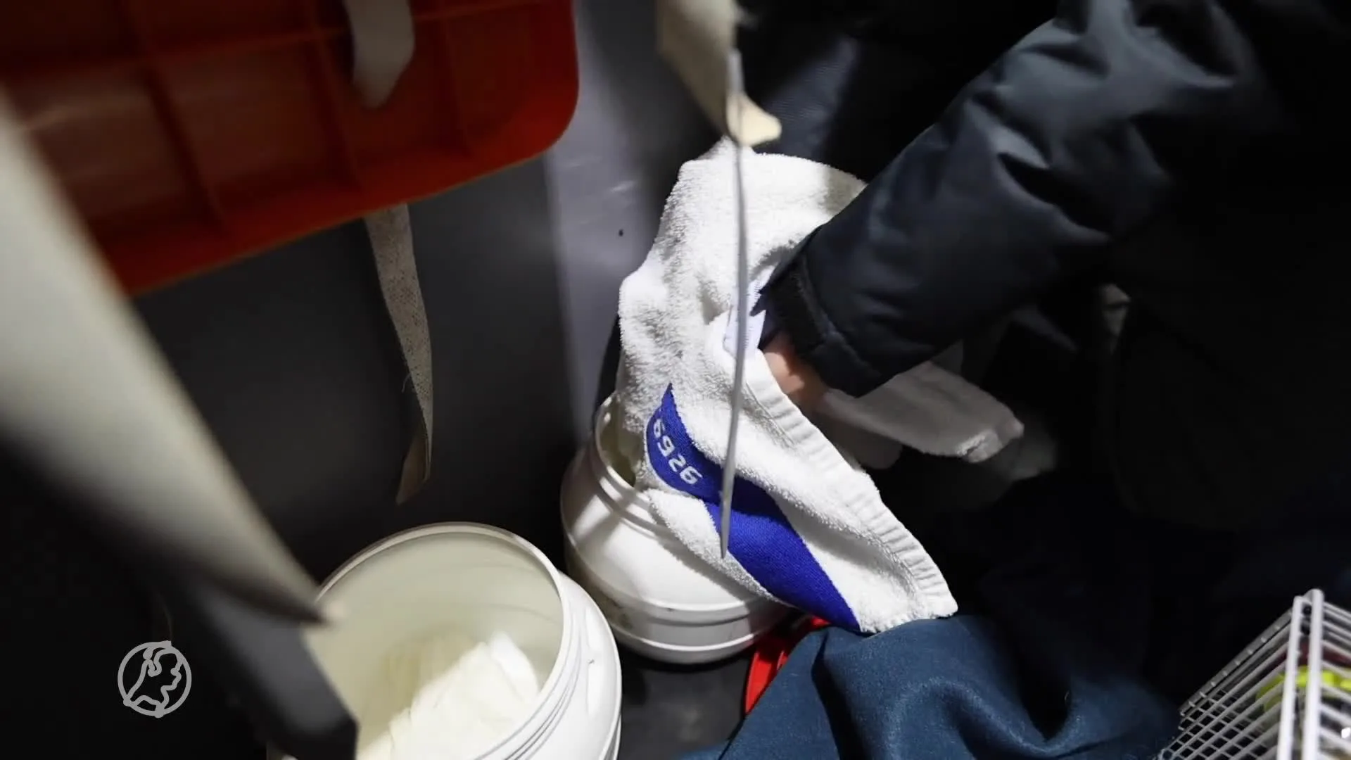 Twee hamsters gedumpt bij afvalcontainer in Rijswijk