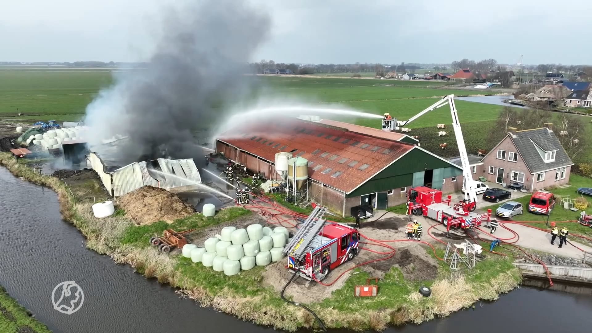 Pony's overleden bij grote brand in Friese schuur