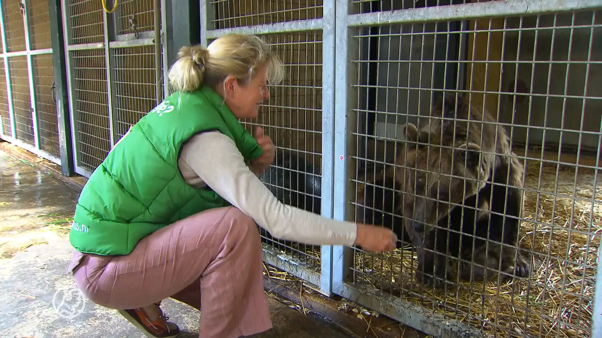Oude beelden: beer Maria voor het eerst buiten in Rhenen