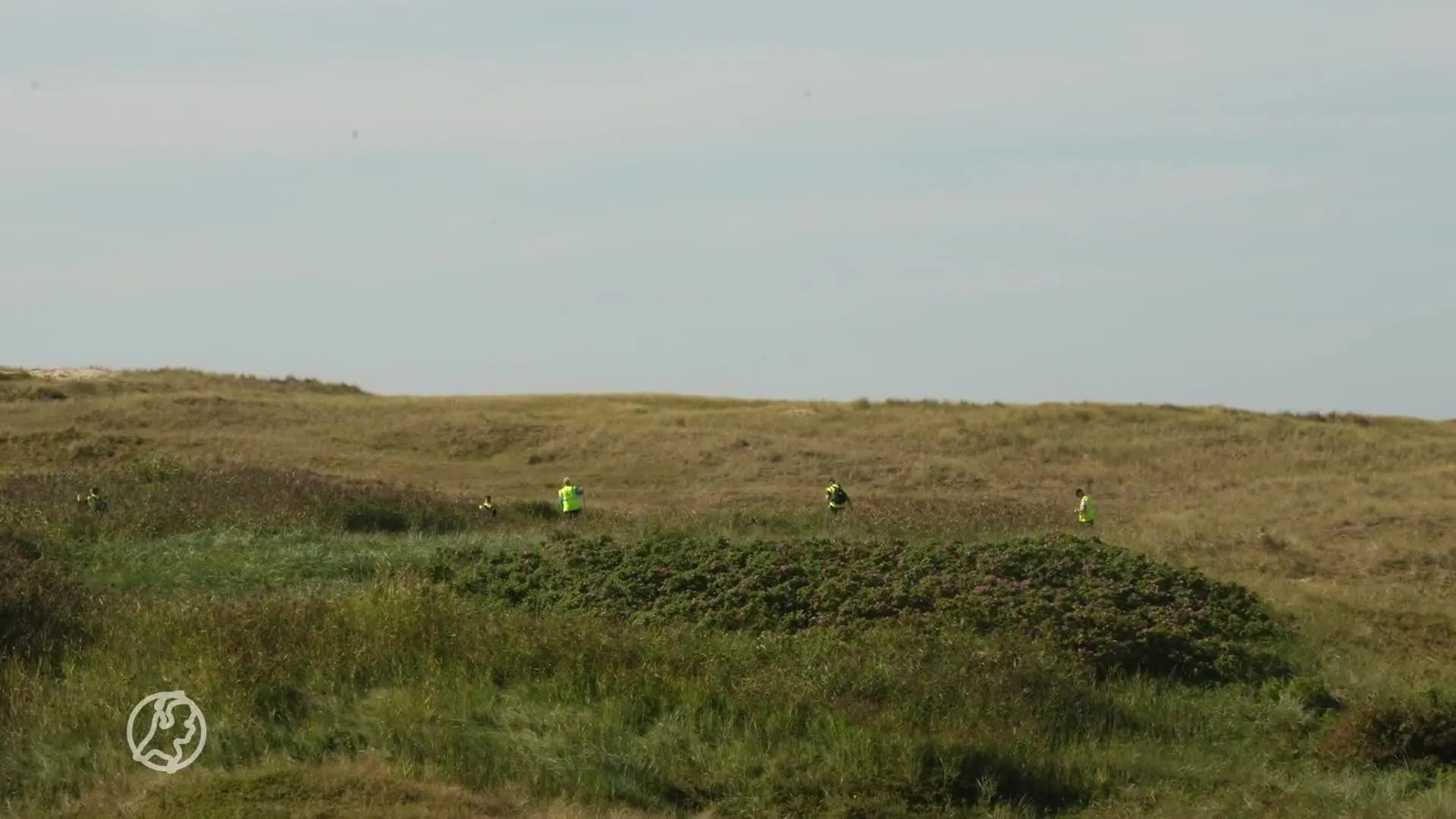 Zoekactie naar vermiste man (38) in duingebied Den Helder