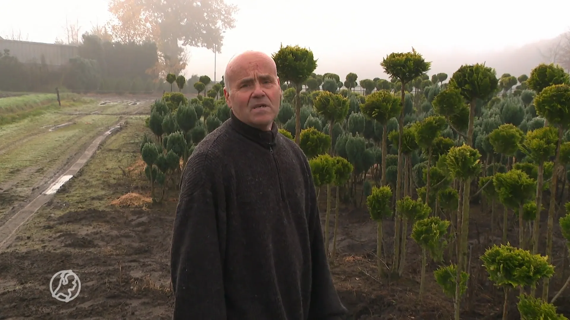 Dieven stelen tweehonderd bomen van kweker Piet