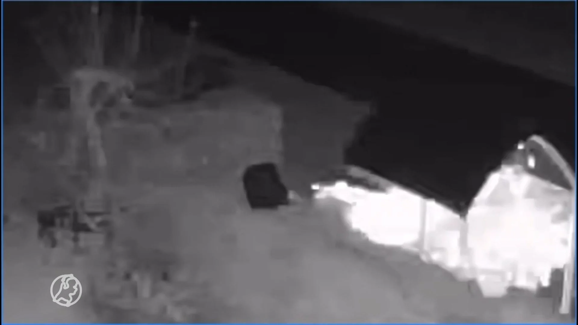 Kippenhok in Kootwijkerbroek opgeblazen door zwaar vuurwerk