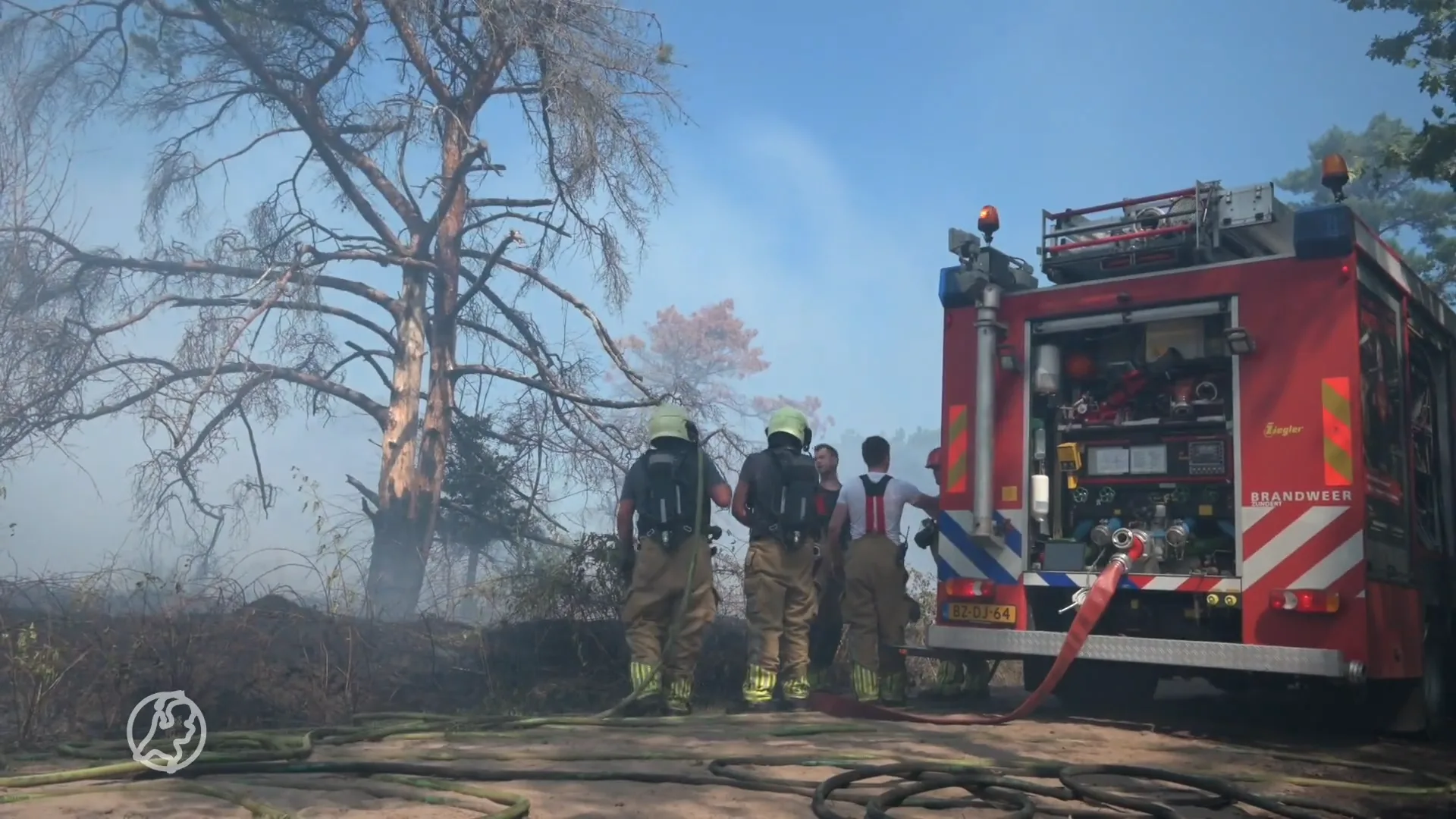 NL-Alert wegens grote heidebrand in Schijf, veel brandweer aanwezig