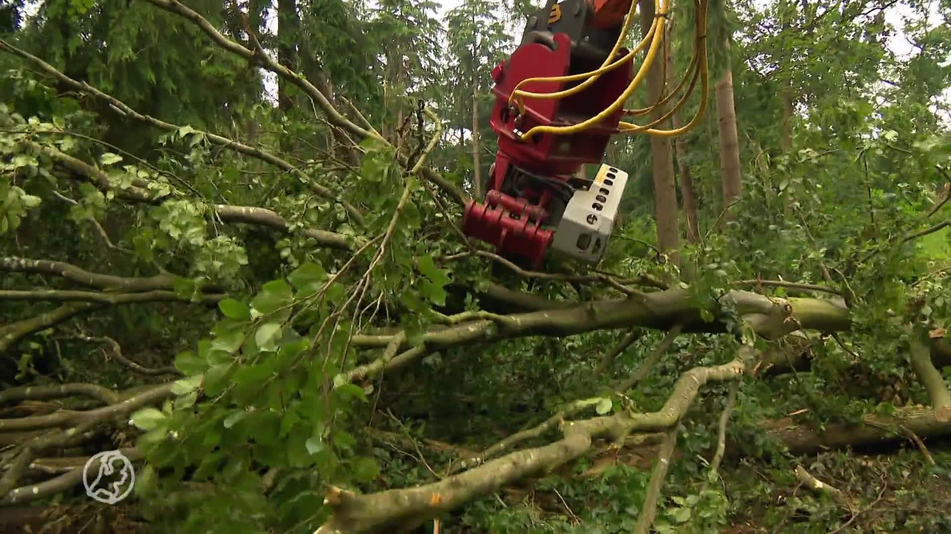 350 hectare bosgebied bij Leersum weer open voor wandelaars e...