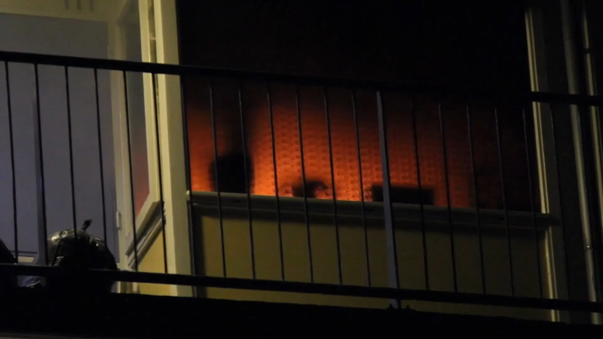 Brandweer redt vrouw en huisdieren bij woningbrand Apeldoorn