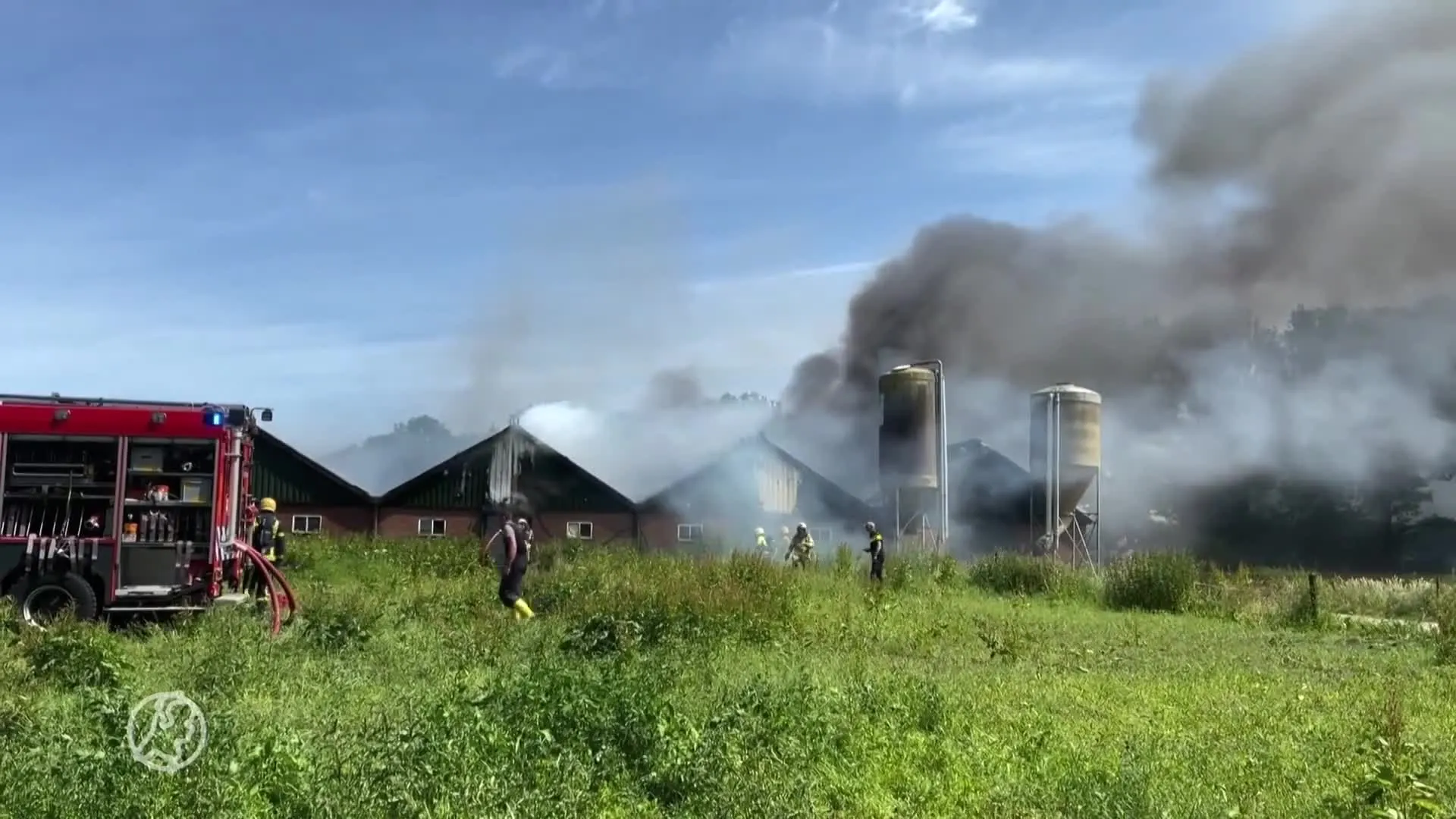 Circa 250 kalveren omgekomen in vlammenzee Elspeet