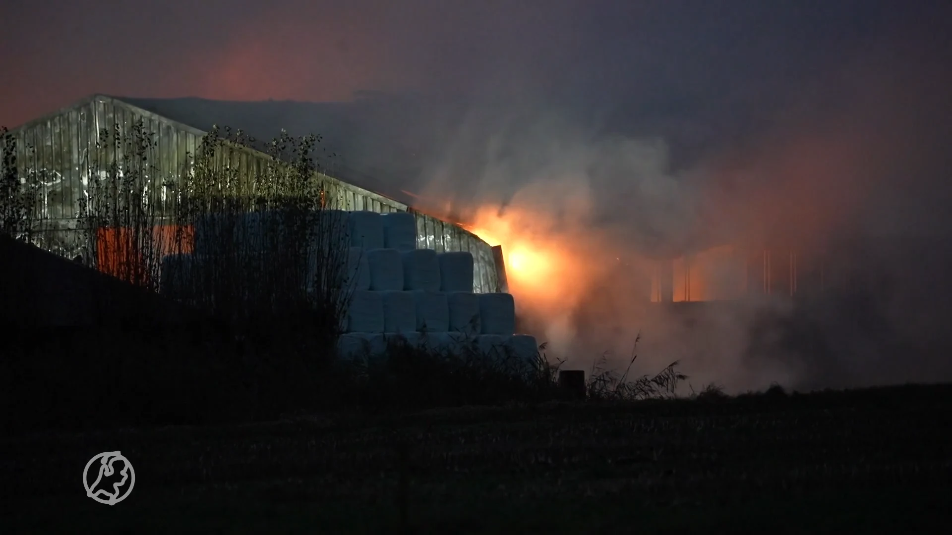Honderden geiten omgekomen bij stalbrand in Vinkel