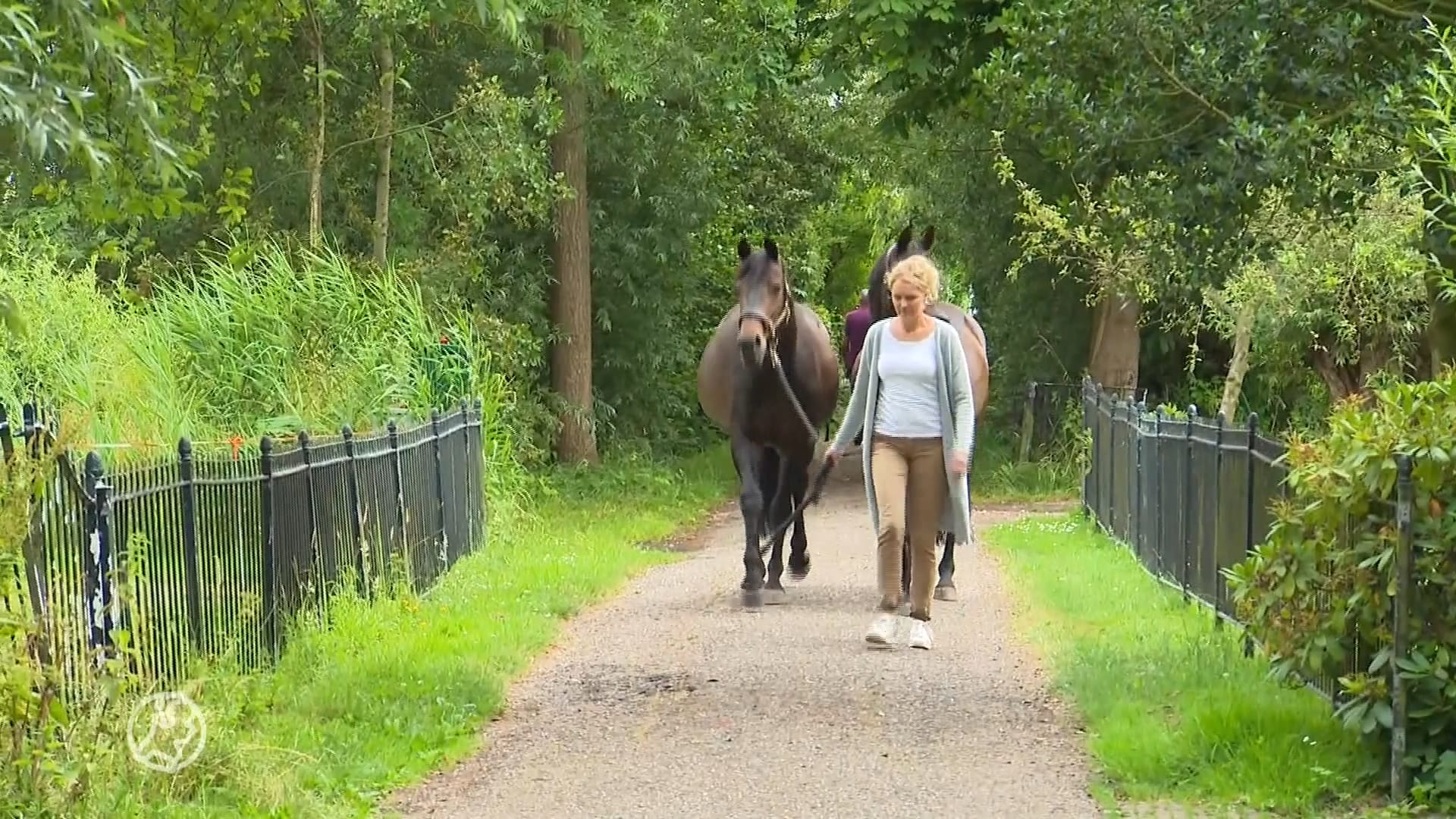 Vriendin van verdachte die 'huisslaaf' zou hebben gehouden: 'Verhaal is zwaar overtrokken'