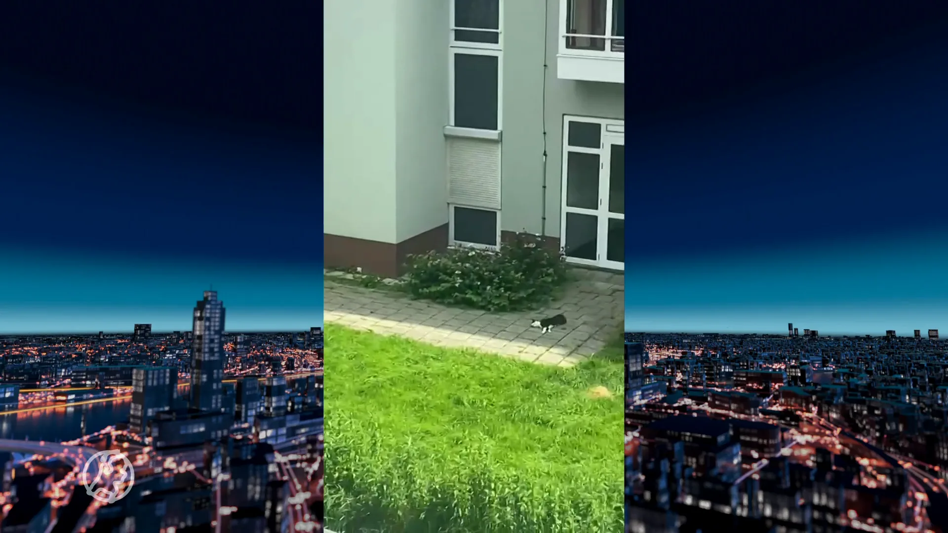 Kat doodgebeten door hond, baasje loopt lachend door