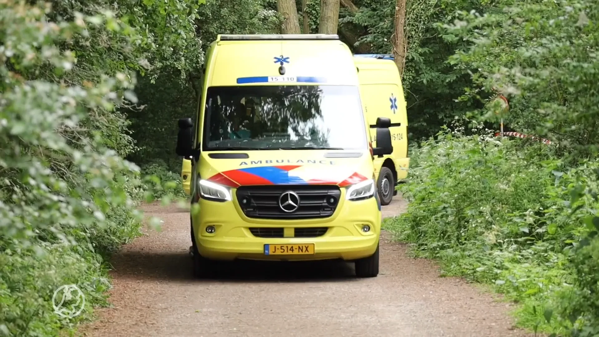 Dode persoon onder mysterieuze omstandigheden gevonden in bos bij 's-Gravenzande