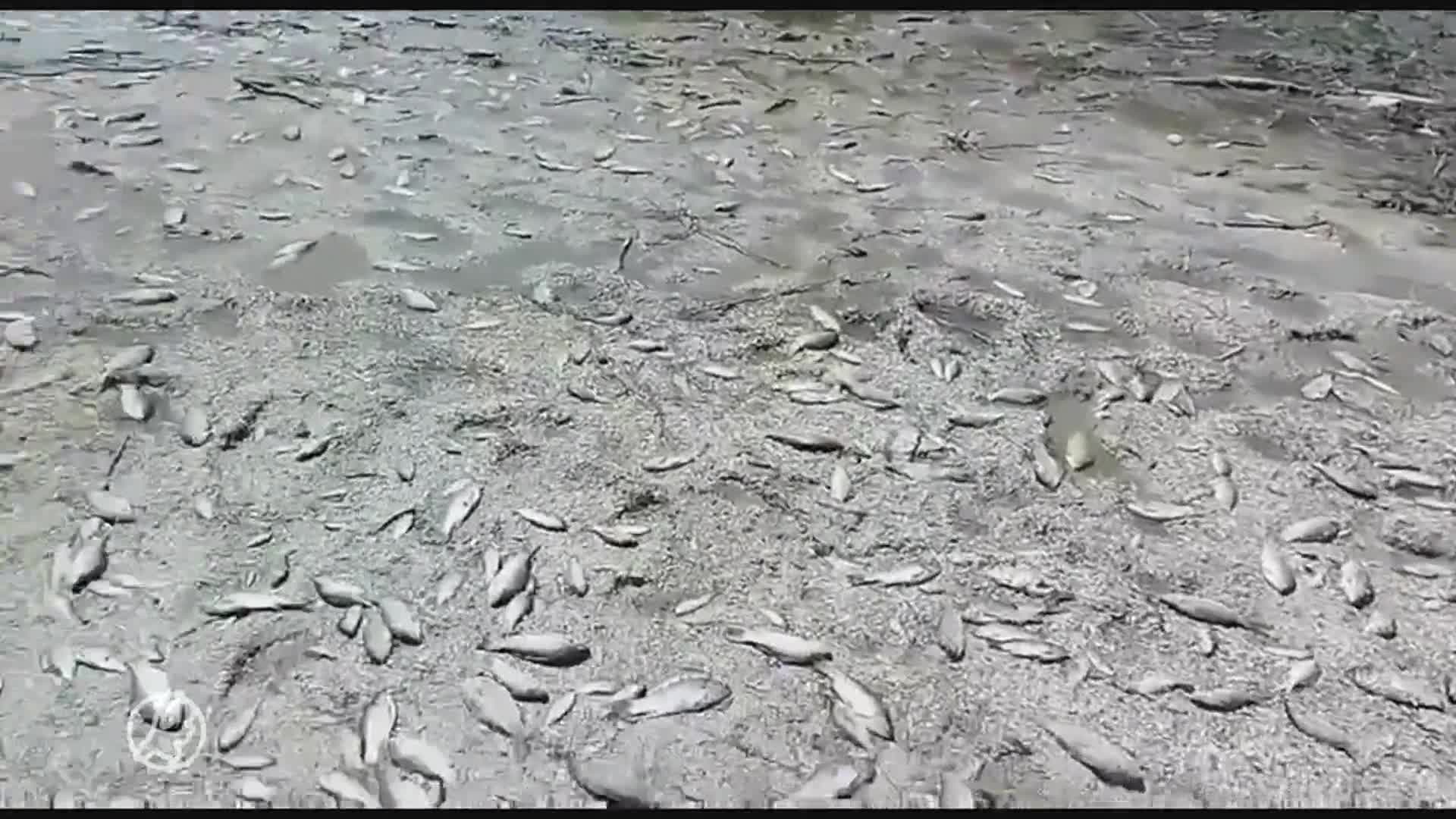 Nederlandse Arno en Rob in actie na opgeblazen stuwdam Oekraïne