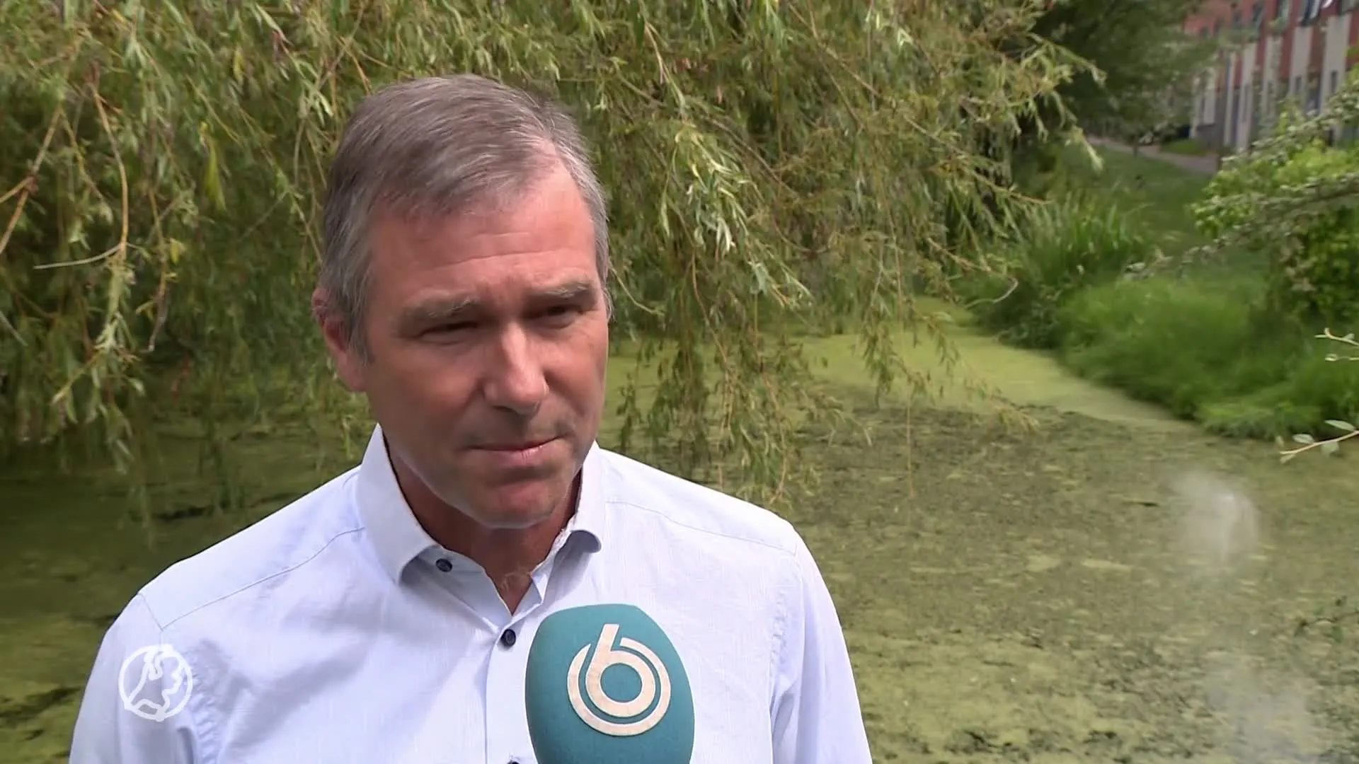 Grote zorgen om vogelgriep onder ooievaars