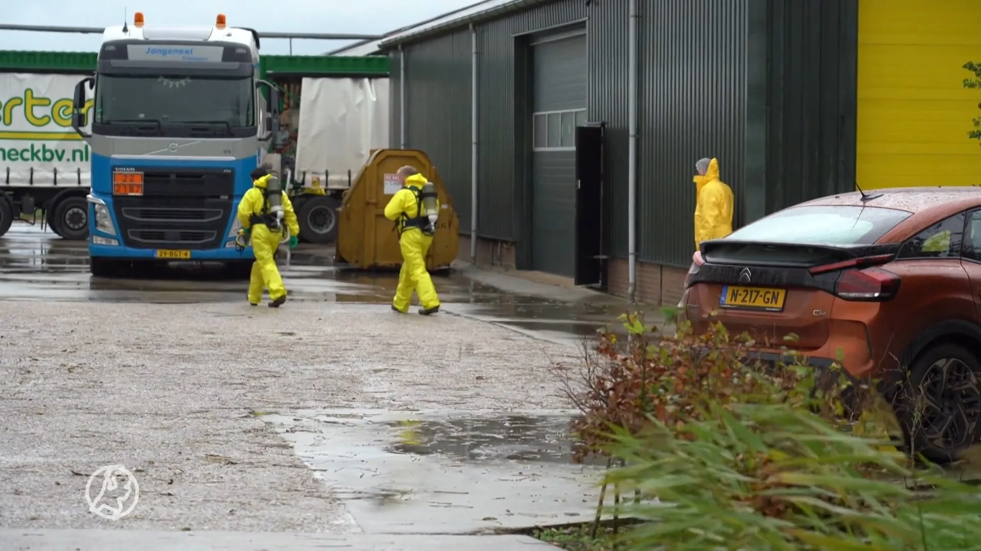 Meer dan 100.000 kippen geruimd na uitbraak vogelgriep in Grootschermer
