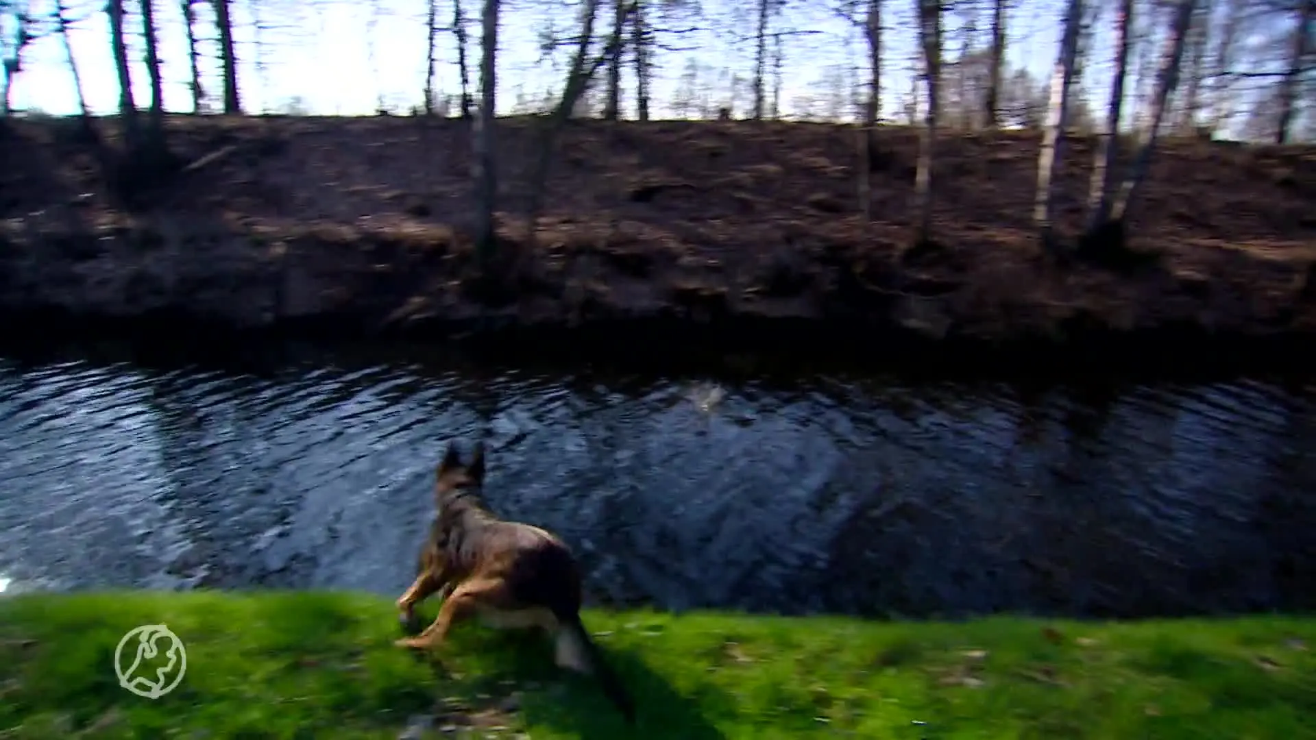 Vader Ichelle zamelt geld in voor Signi die zijn dochter vond...