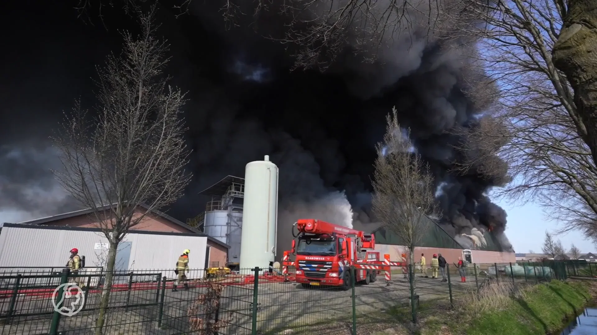 Varkensstal in Sint-Oedenrode getroffen door zeer grote brand